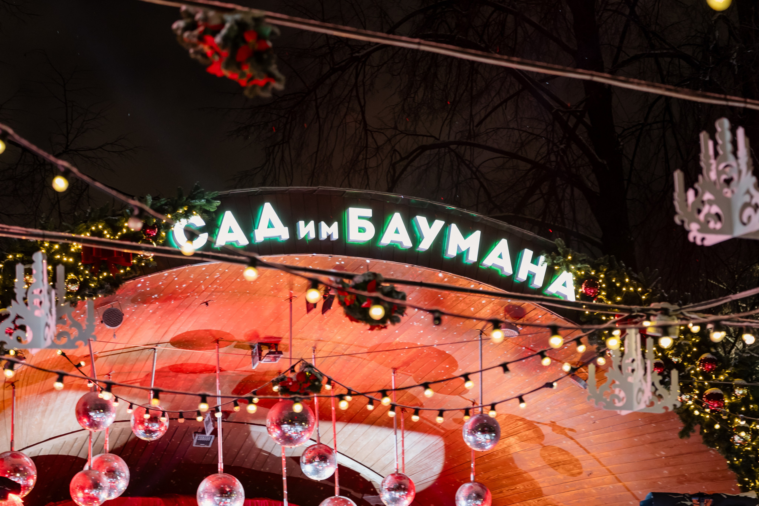 Ледяная симфония. Сад им. Баумана. 04.01.2025