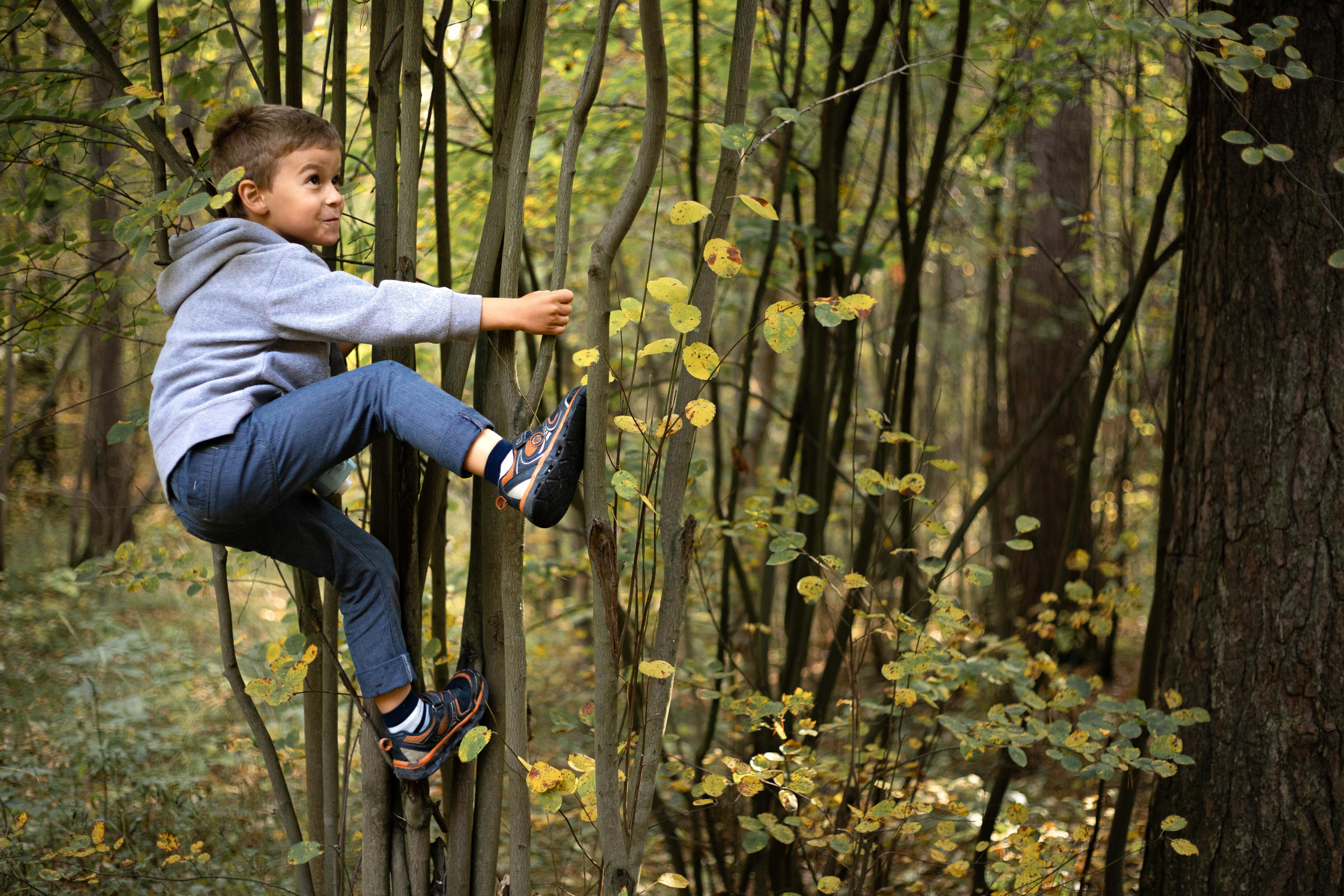 Черняевский лес «Золотые пески». Осень 2020. Ирина с сыновьями. Фотограф Пермь. Свадьбы. Семья и дети, школа, д. сад. Фотокниги