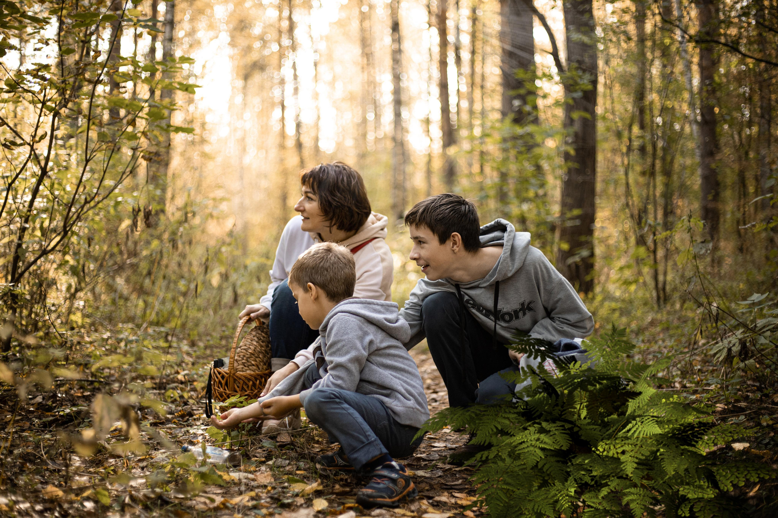 Черняевский лес «Золотые пески». Осень 2020. Ирина с сыновьями. Фотограф Пермь. Свадьбы. Семья и дети, школа, д. сад. Фотокниги