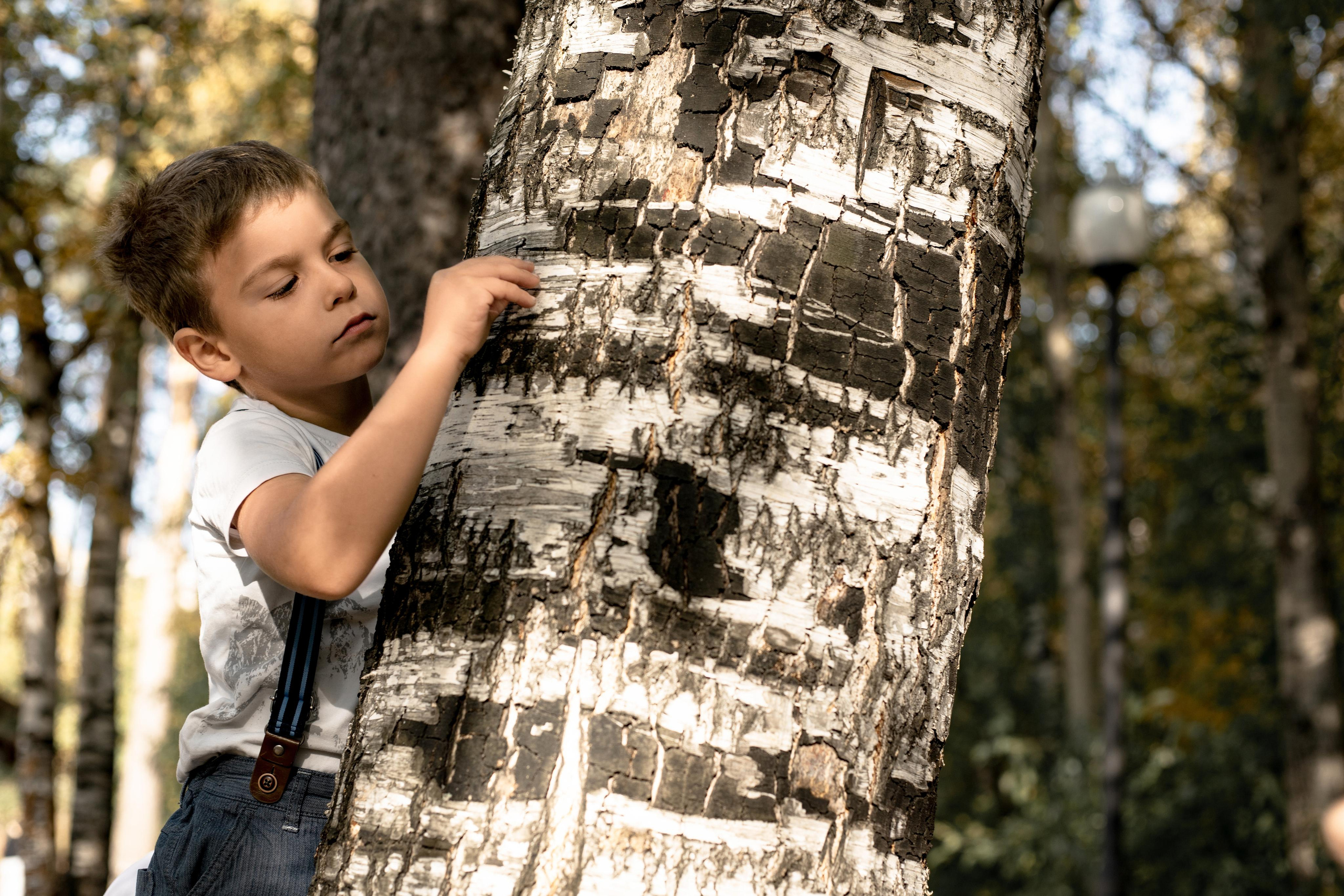 Черняевский лес «Золотые пески». Осень 2020. Ирина с сыновьями. Фотограф Пермь. Свадьбы. Семья и дети, школа, д. сад. Фотокниги