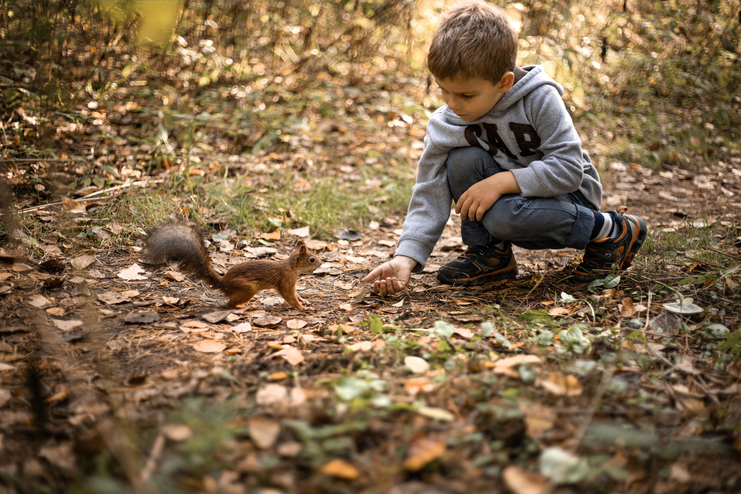 Черняевский лес «Золотые пески». Осень 2020. Ирина с сыновьями. Фотограф Пермь. Свадьбы. Семья и дети, школа, д. сад. Фотокниги