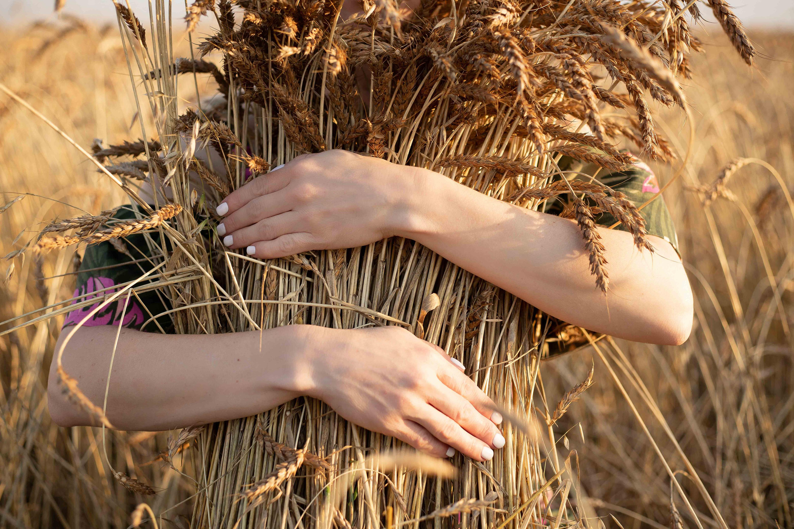 В поле. август 2020. Екатерина. Фотограф Пермь. Свадьбы. Семья и дети, школа, д. сад. Фотокниги