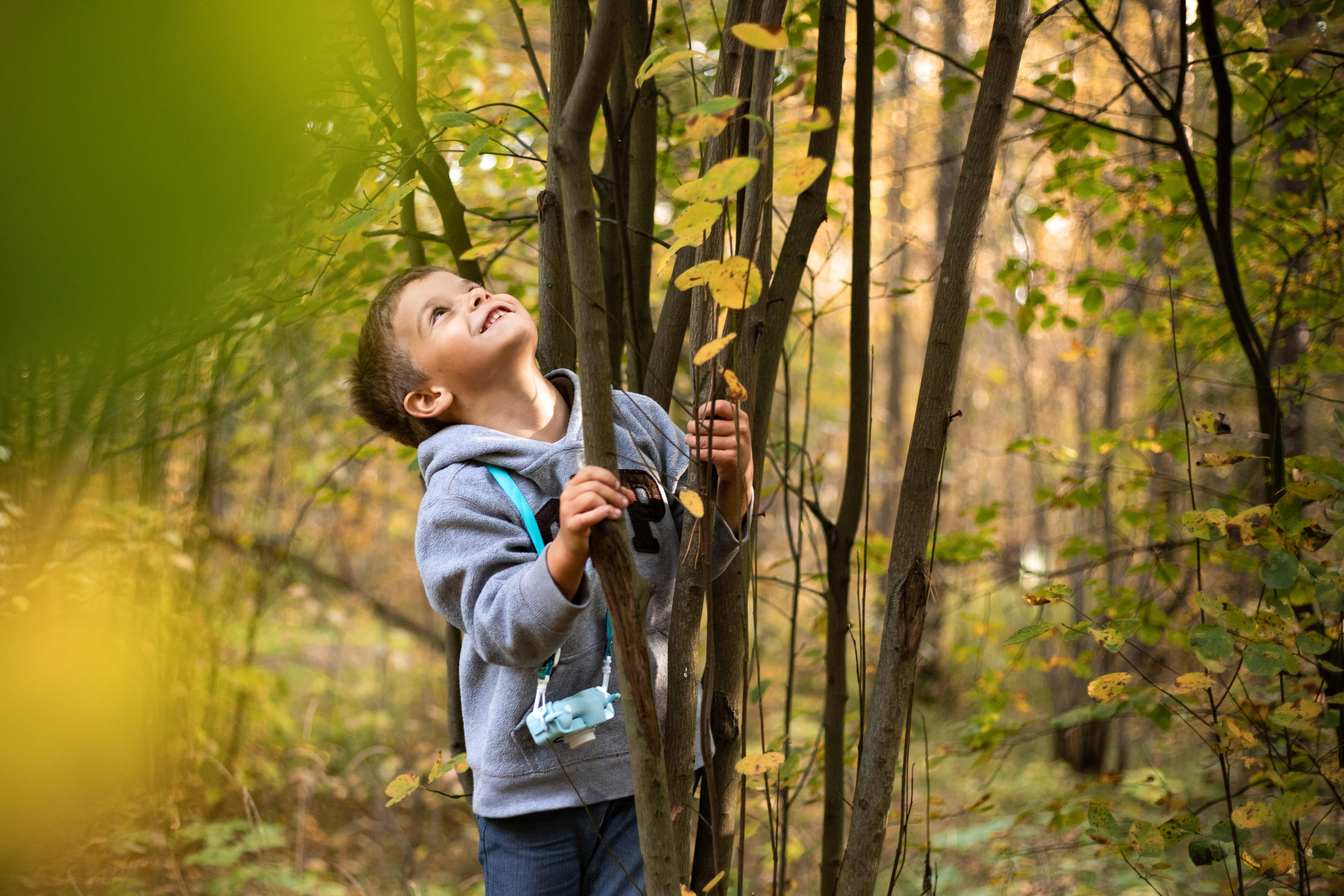 Черняевский лес «Золотые пески». Осень 2020. Ирина с сыновьями. Фотограф Пермь. Свадьбы. Семья и дети, школа, д. сад. Фотокниги