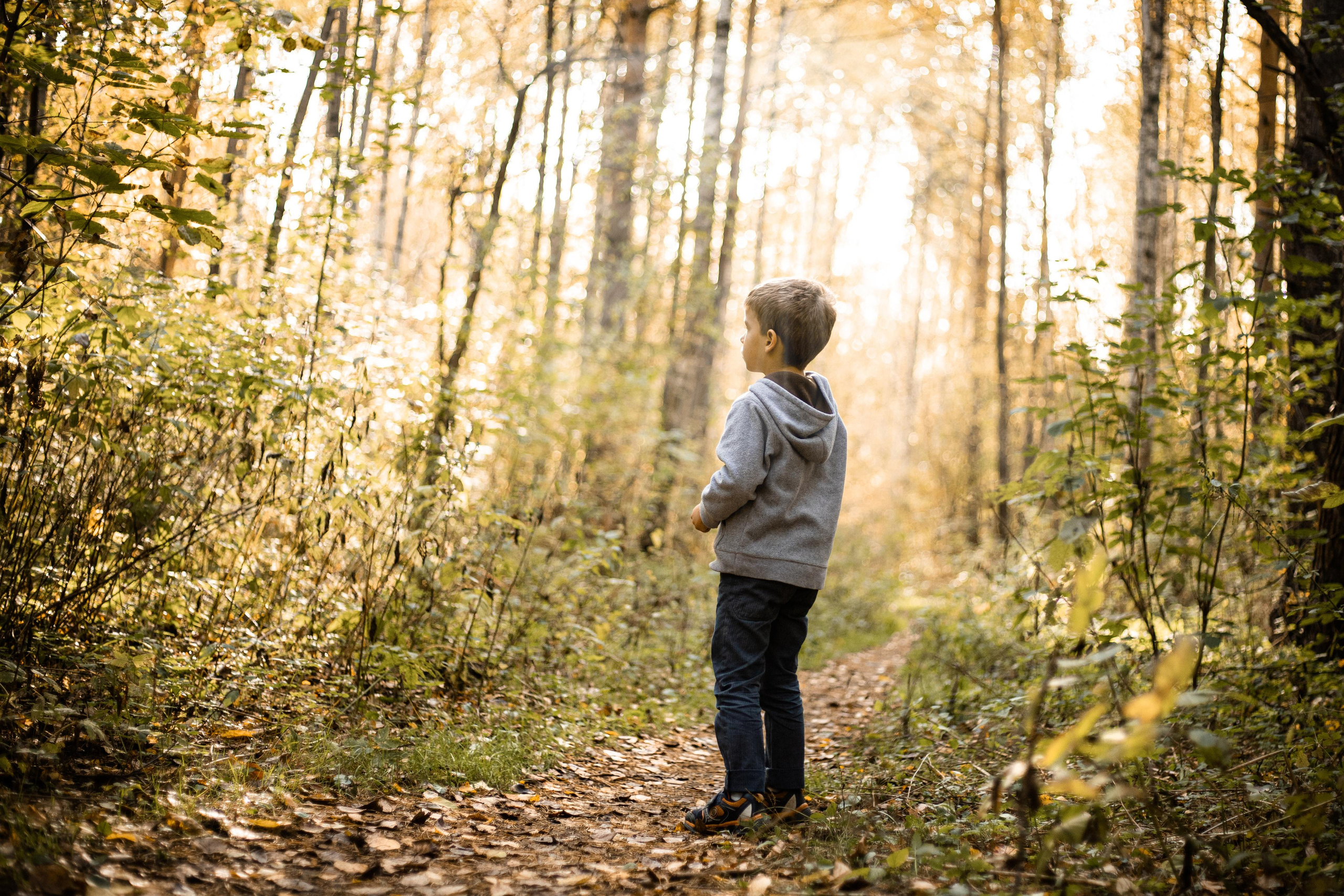 Черняевский лес «Золотые пески». Осень 2020. Ирина с сыновьями. Фотограф Пермь. Свадьбы. Семья и дети, школа, д. сад. Фотокниги