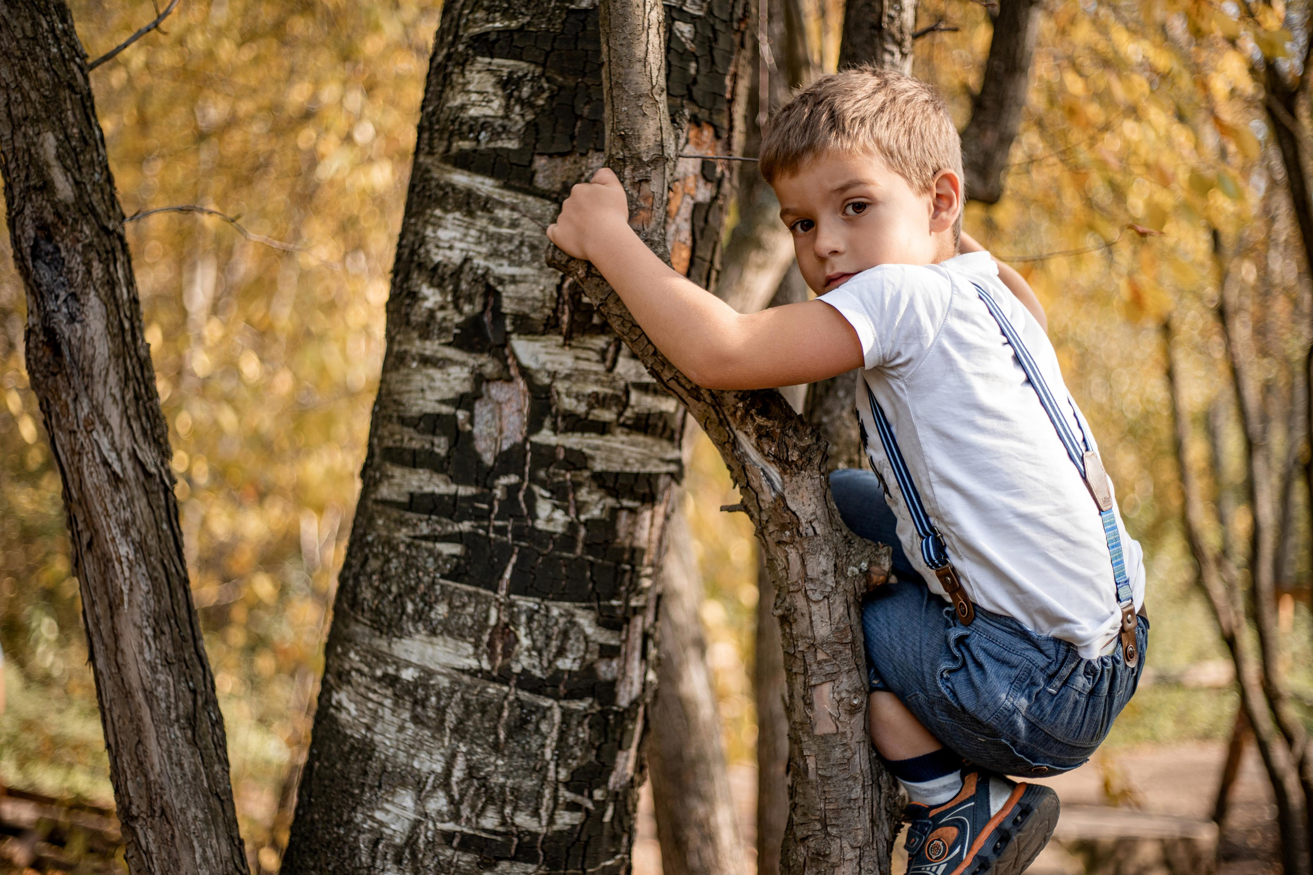 Черняевский лес «Золотые пески». Осень 2020. Ирина с сыновьями. Фотограф Пермь. Свадьбы. Семья и дети, школа, д. сад. Фотокниги