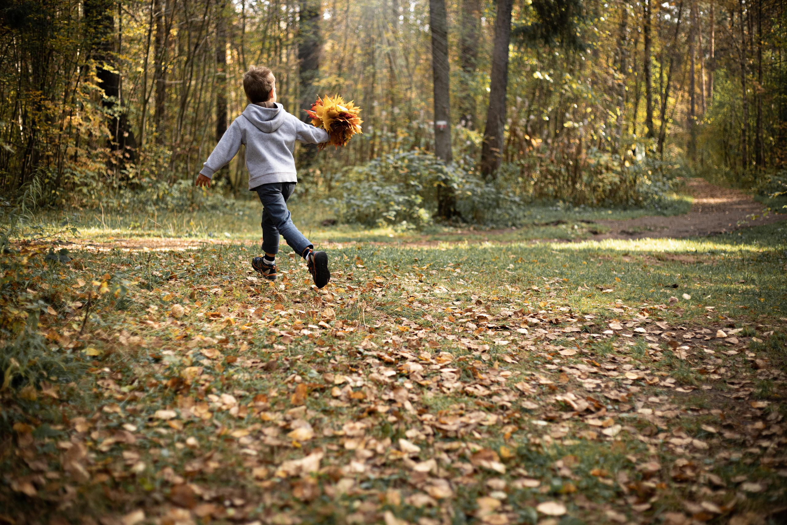 Черняевский лес «Золотые пески». Осень 2020. Ирина с сыновьями. Фотограф Пермь. Свадьбы. Семья и дети, школа, д. сад. Фотокниги