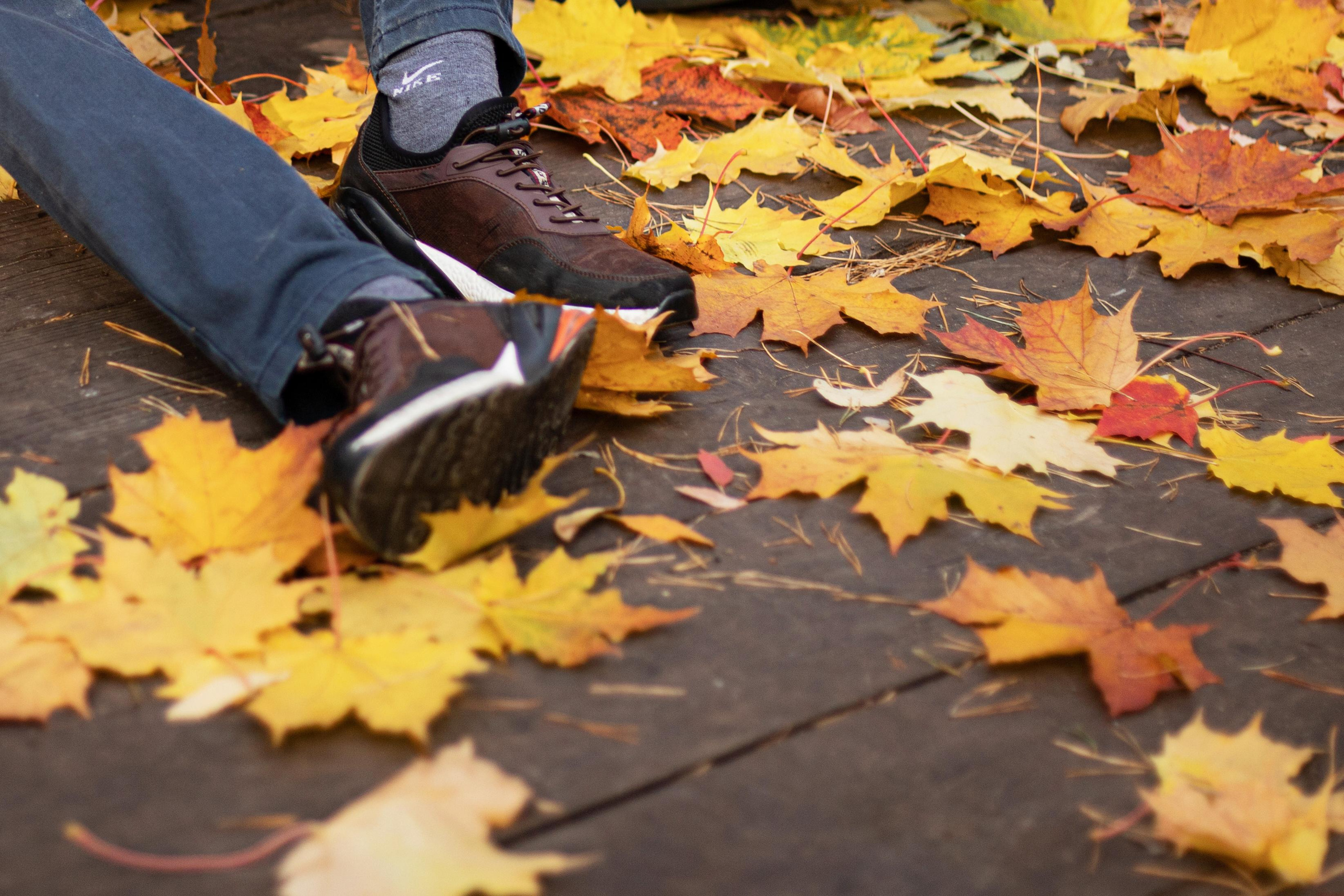 Черняевский лес «Золотые пески». Осень 2020. Ирина с сыновьями. Фотограф Пермь. Свадьбы. Семья и дети, школа, д. сад. Фотокниги