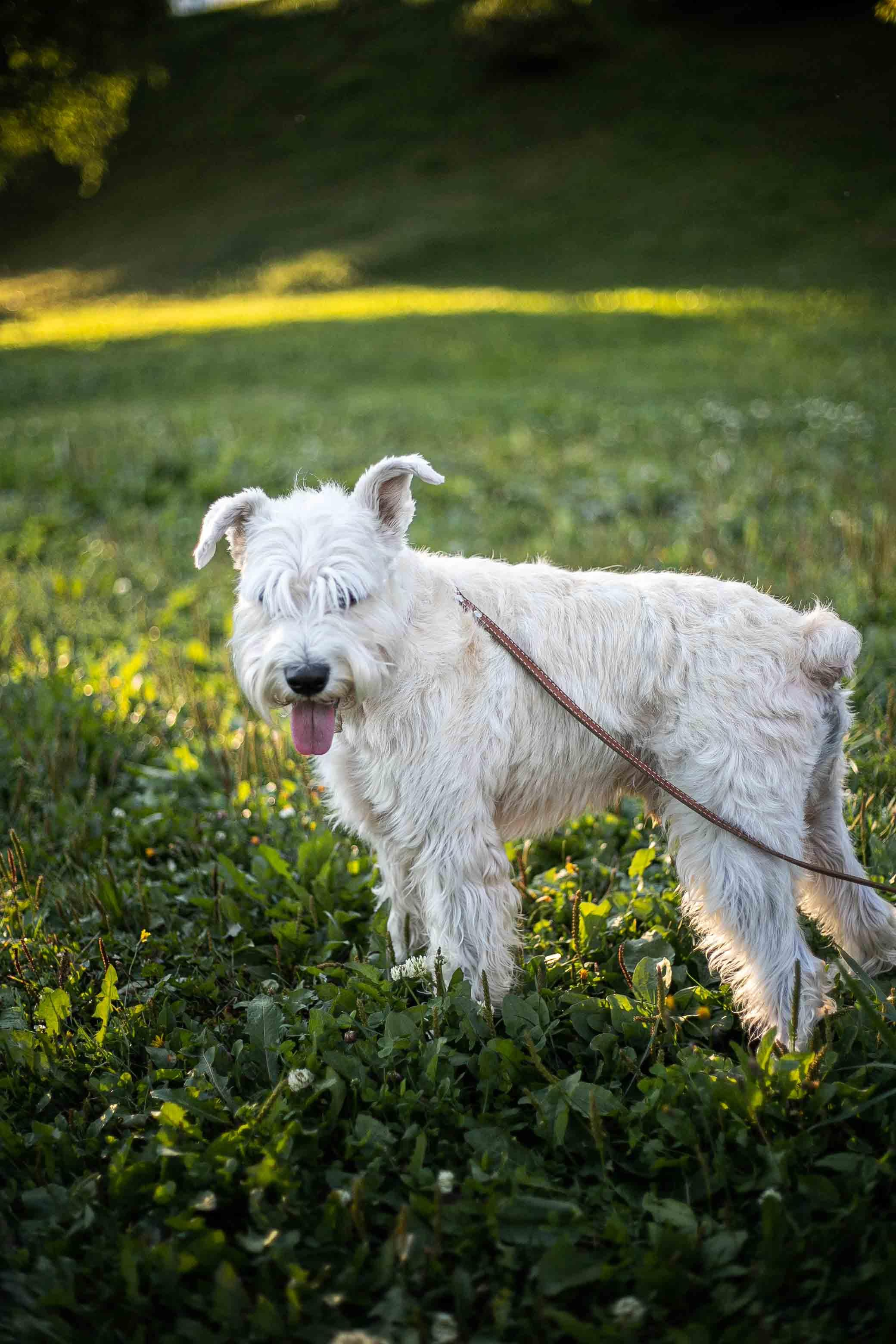 Парк у Планетария. Август 2020. Практический урок. Фотограф Пермь. Свадьбы. Семья и дети, школа, д. сад. Фотокниги