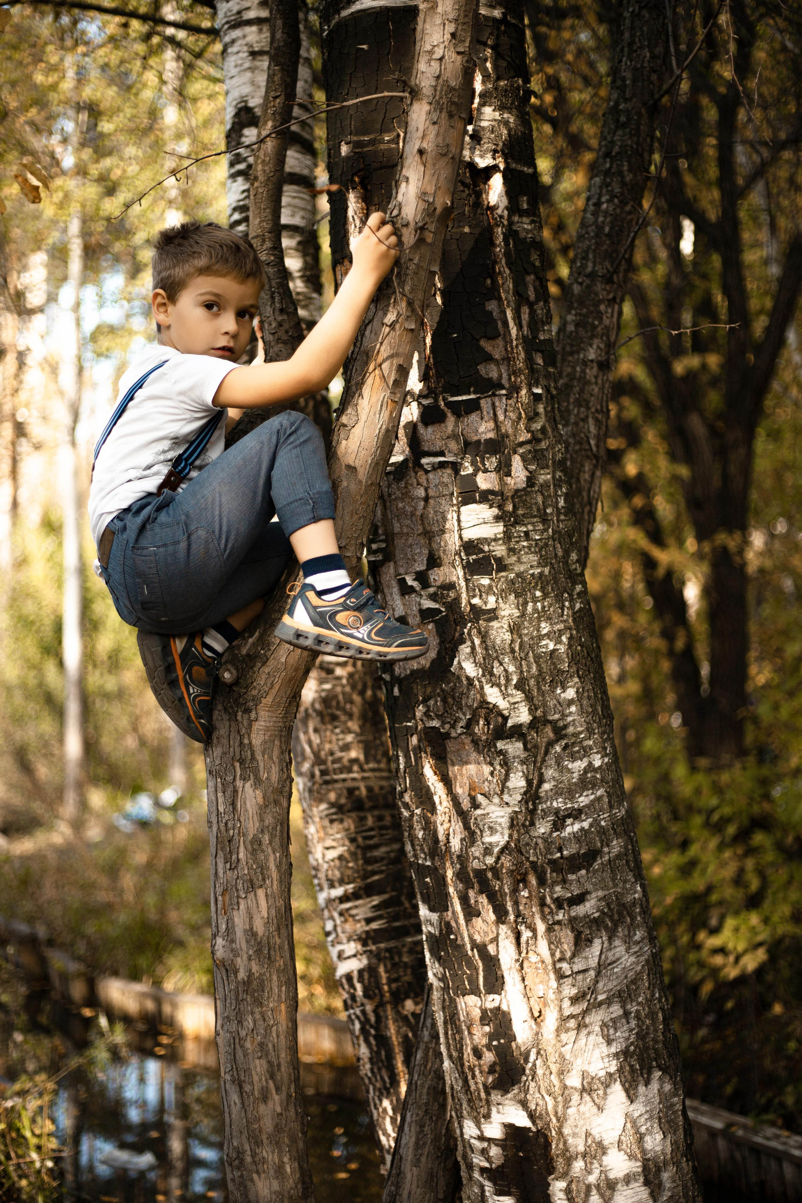 Черняевский лес «Золотые пески». Осень 2020. Ирина с сыновьями. Фотограф Пермь. Свадьбы. Семья и дети, школа, д. сад. Фотокниги