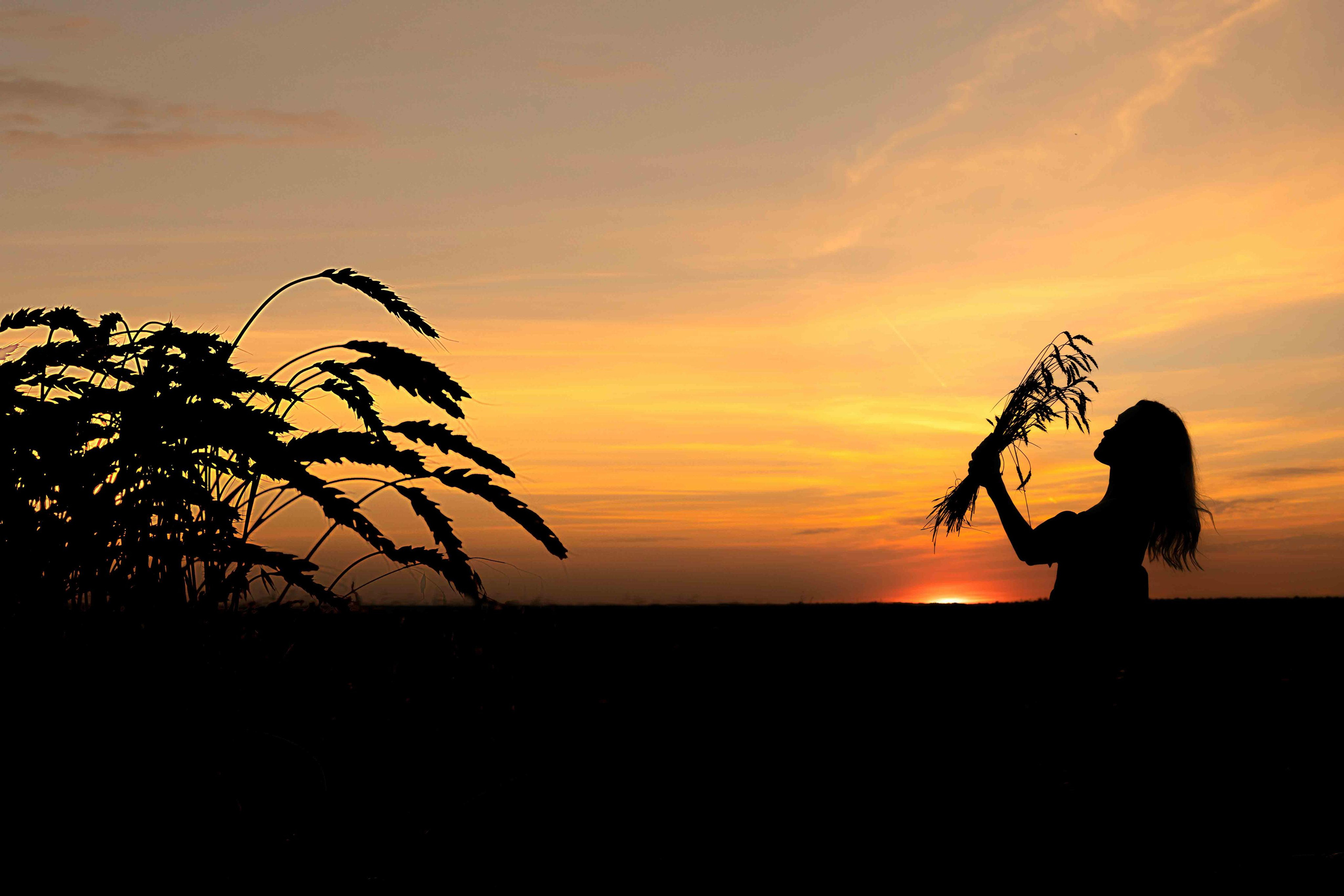 В поле. август 2020. Екатерина. Фотограф Пермь. Свадьбы. Семья и дети, школа, д. сад. Фотокниги