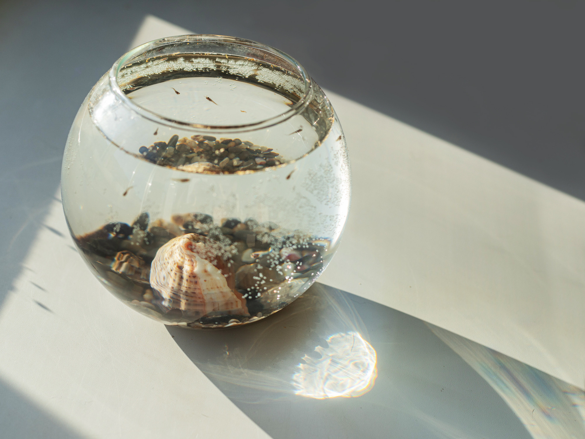 Предметная съемка