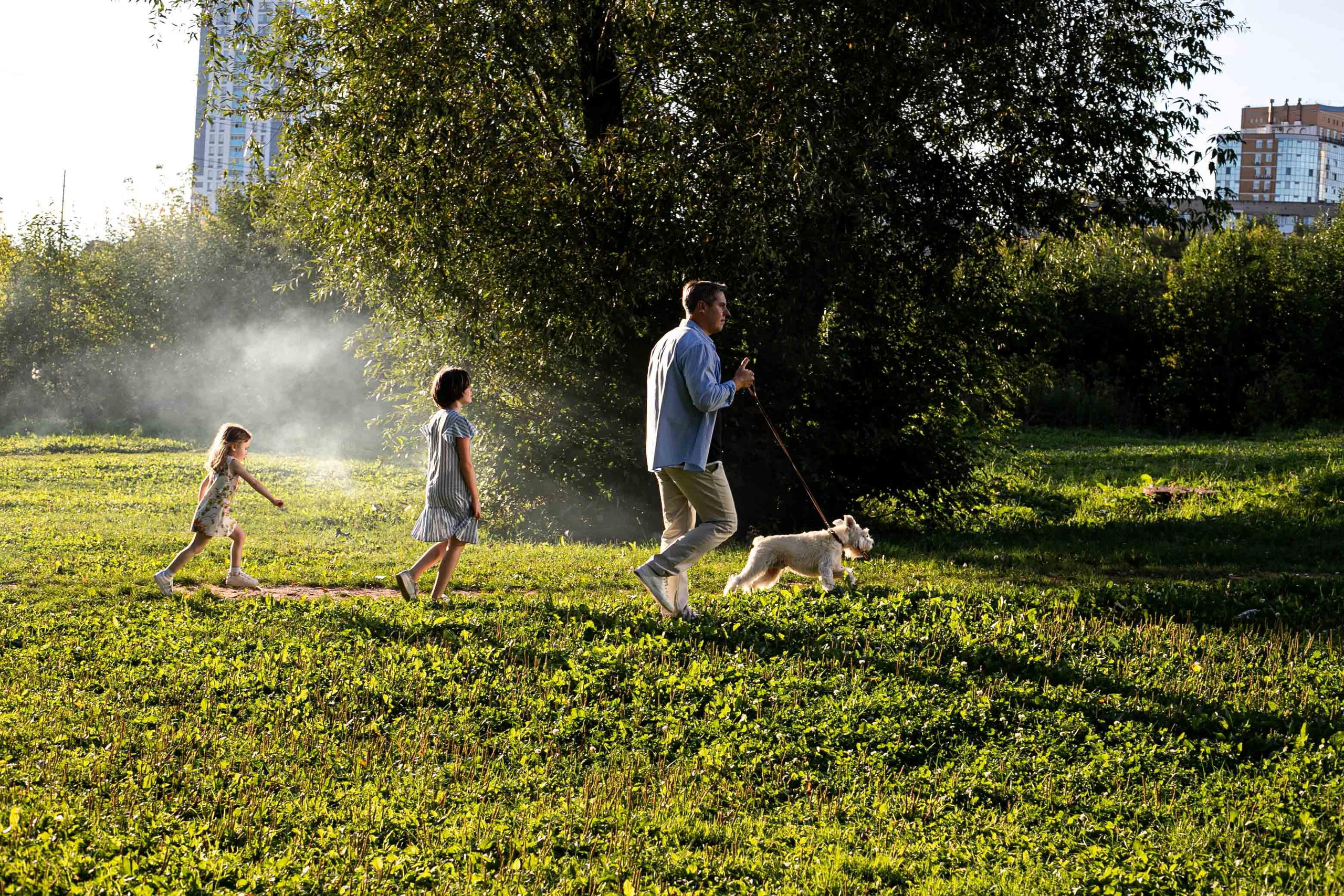 Парк у Планетария. Август 2020. Практический урок. Фотограф Пермь. Свадьбы. Семья и дети, школа, д. сад. Фотокниги