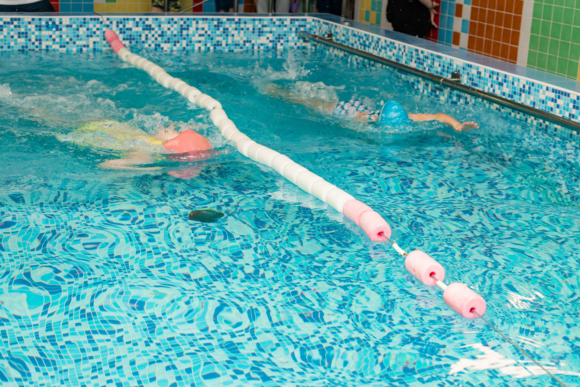 Репортажная съёмка. Дельфиньи игры. Бодибум Пермь. Фотограф Пермь. Свадьбы. Семья и дети, школа, д. сад. Фотокниги