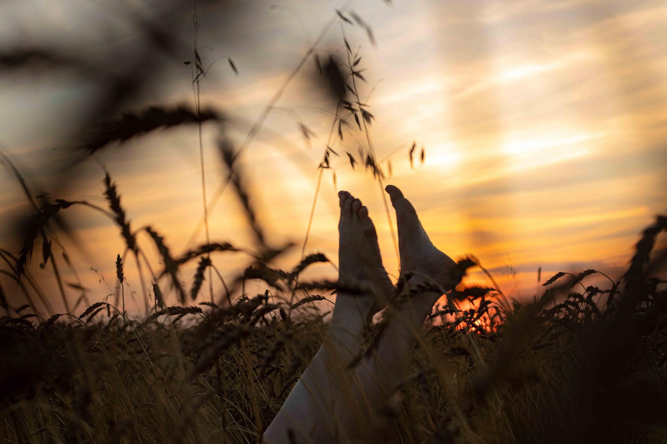 В поле. август 2020. Екатерина. Фотограф Пермь. Свадьбы. Семья и дети, школа, д. сад. Фотокниги