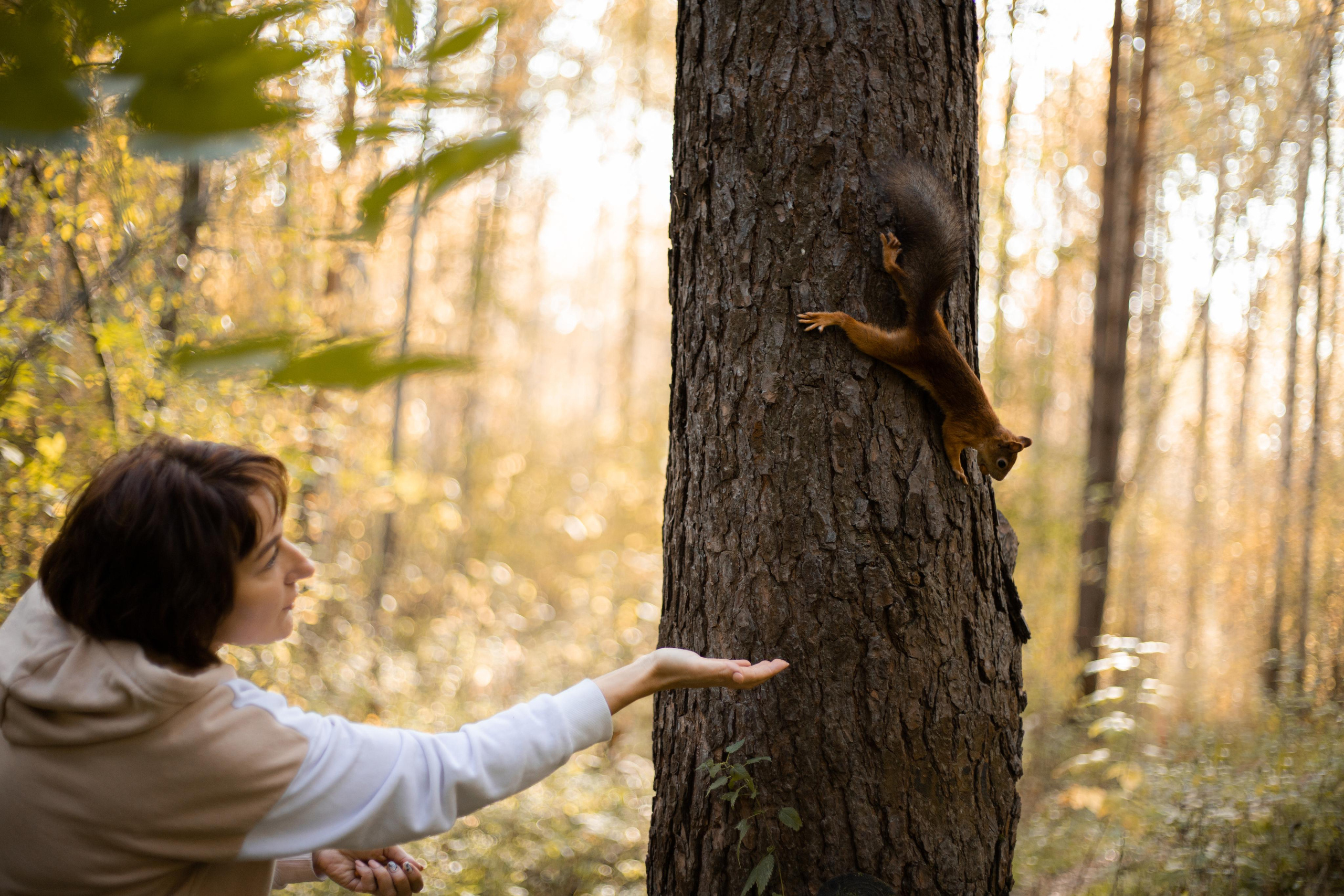 Черняевский лес «Золотые пески». Осень 2020. Ирина с сыновьями. Фотограф Пермь. Свадьбы. Семья и дети, школа, д. сад. Фотокниги