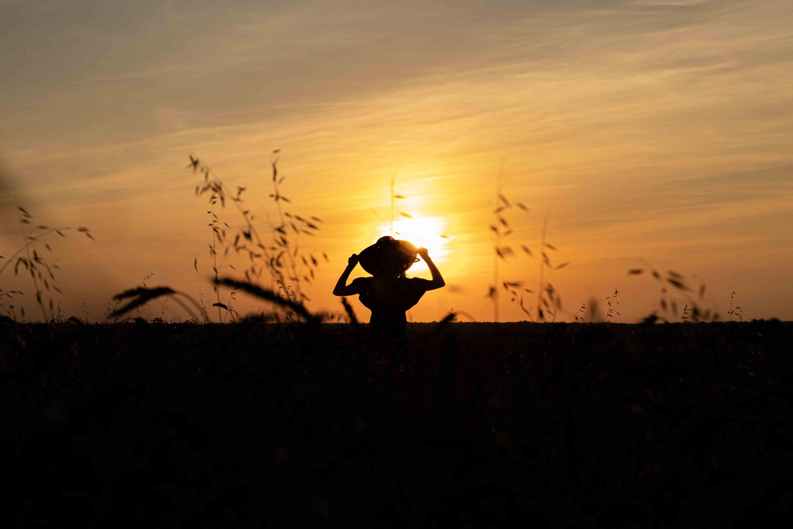 В поле. август 2020. Екатерина. Фотограф Пермь. Свадьбы. Семья и дети, школа, д. сад. Фотокниги