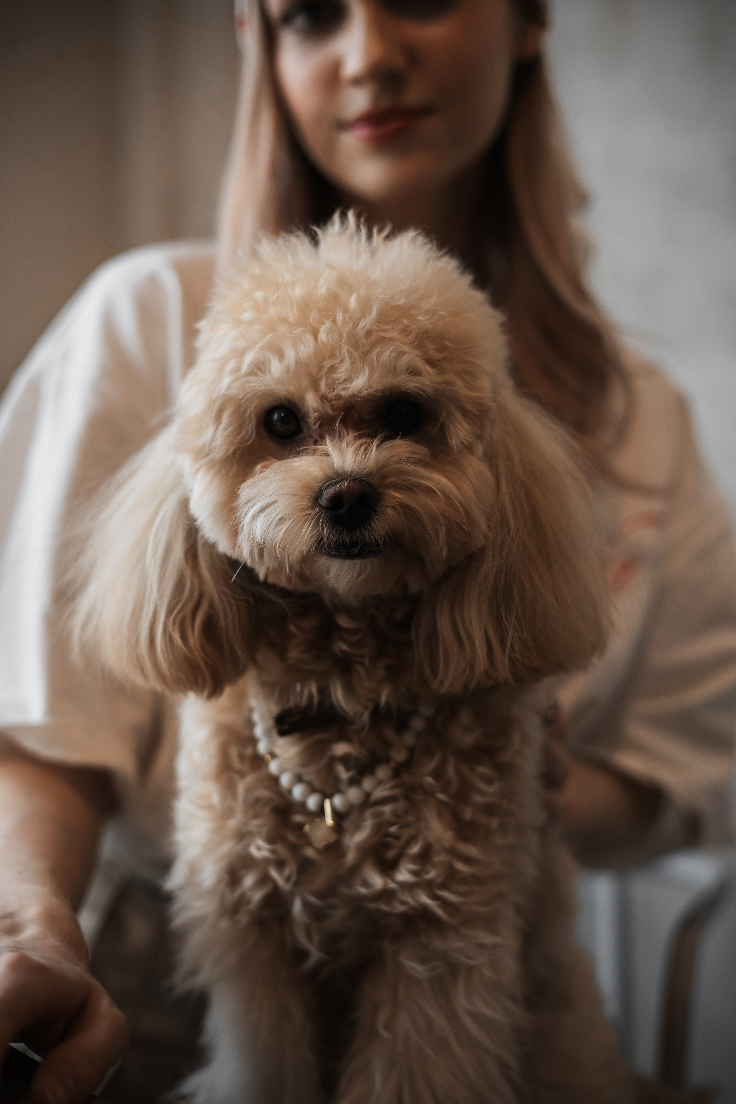 Алина — прогулка