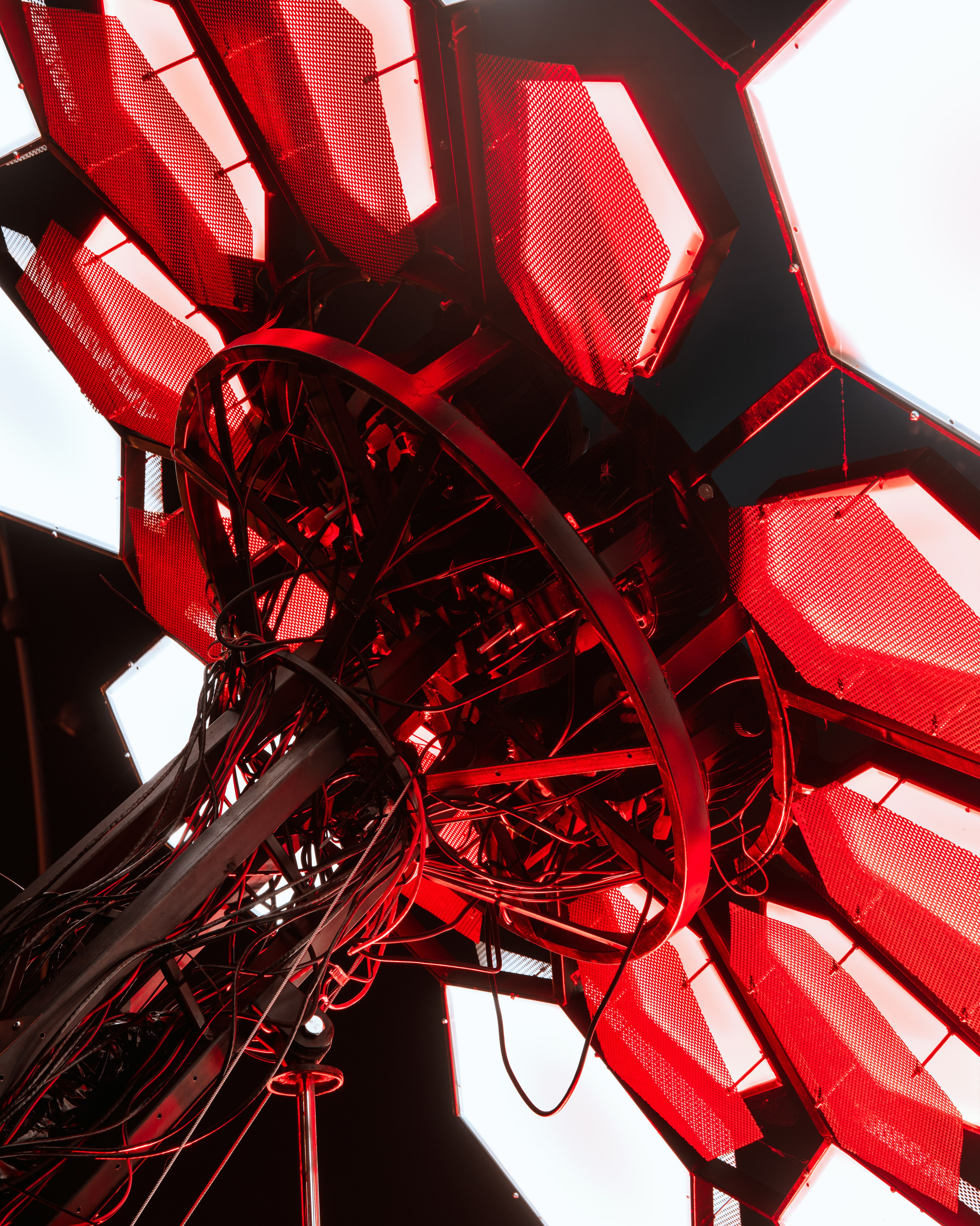 PANTERRA, Cyber Flower. @tomrus: Рустам Шагиморданов — фотограф