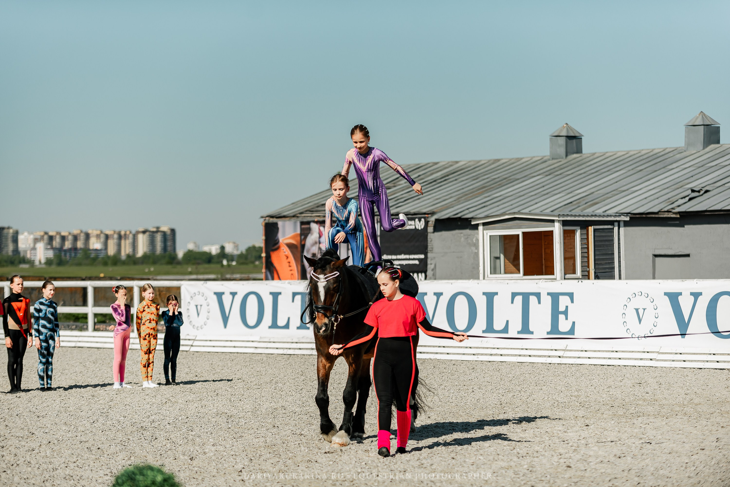 РЕПОРТАЖ МКК ВОЛЬТ «LA TULIPS». Конный фотограф Куракина Дарья • Фотосессии с лошадьми