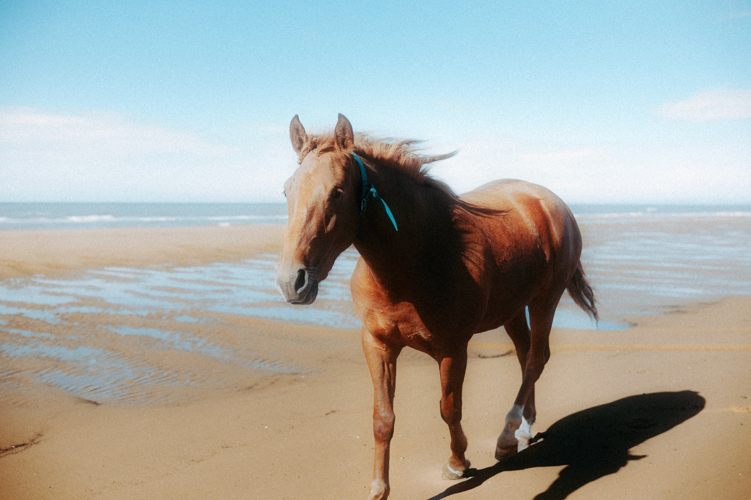 Сахалин | Север