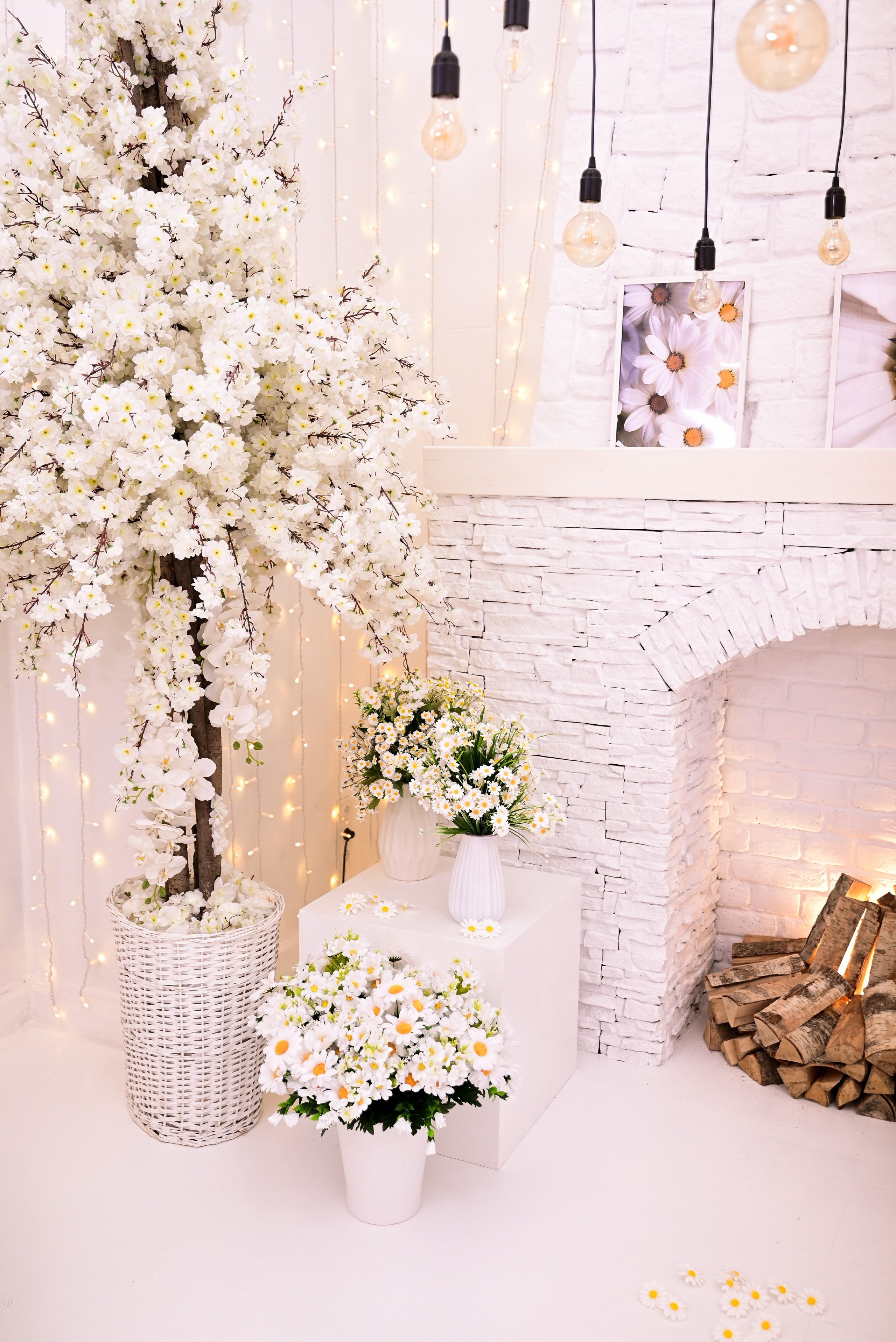 Зал — Family. Фотостудия Зефир. Фотосессии в студии под ключ. Москва. Семейные и детские фотосессии