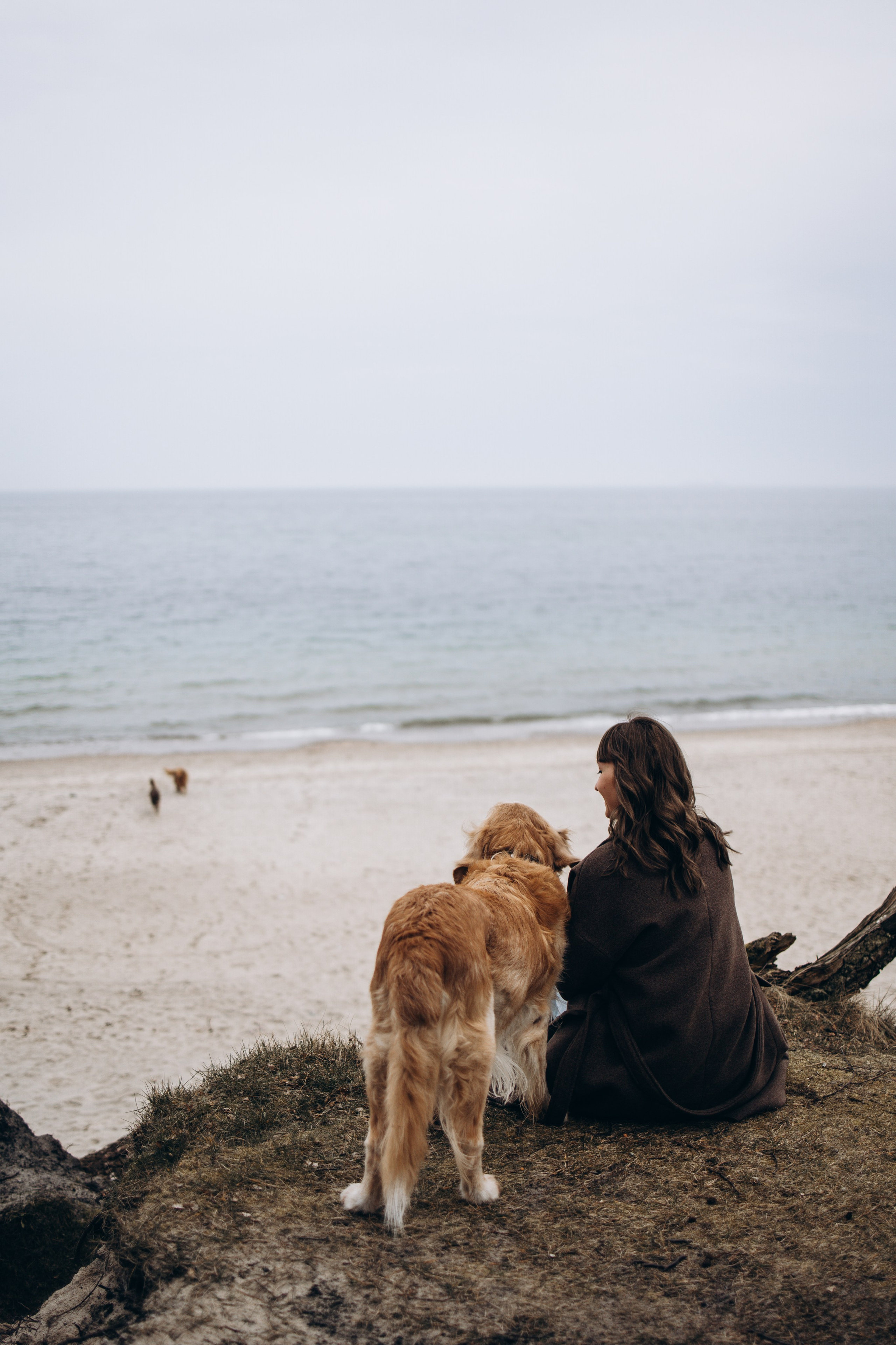 Юля и Максик. Фотограф — Анималист | Санкт-Петербург