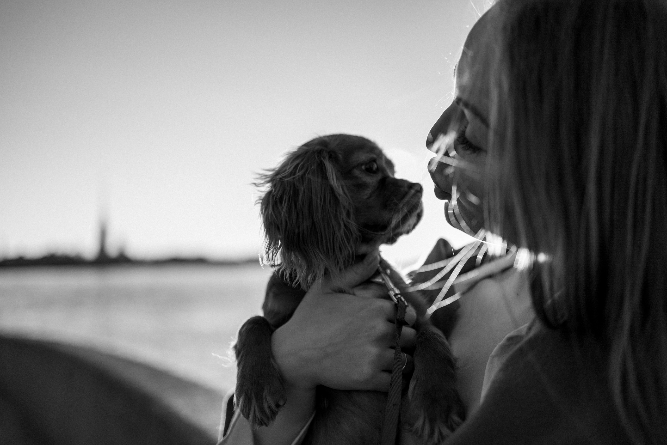 Аня, Стеша и Степан. Фотограф — Анималист | Санкт-Петербург