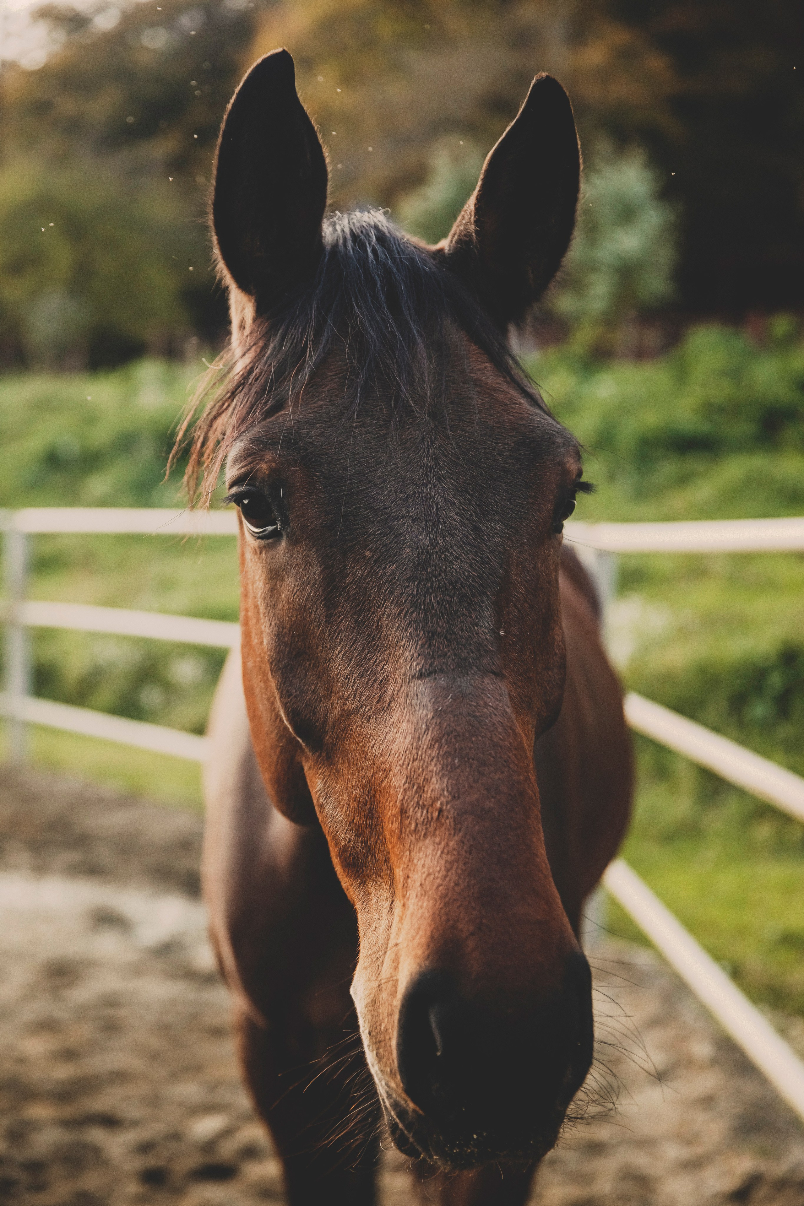 Мирославу 1 годик. Свадебный и семейный фотограф Колоскова Мария (Сочи и весь мир)
