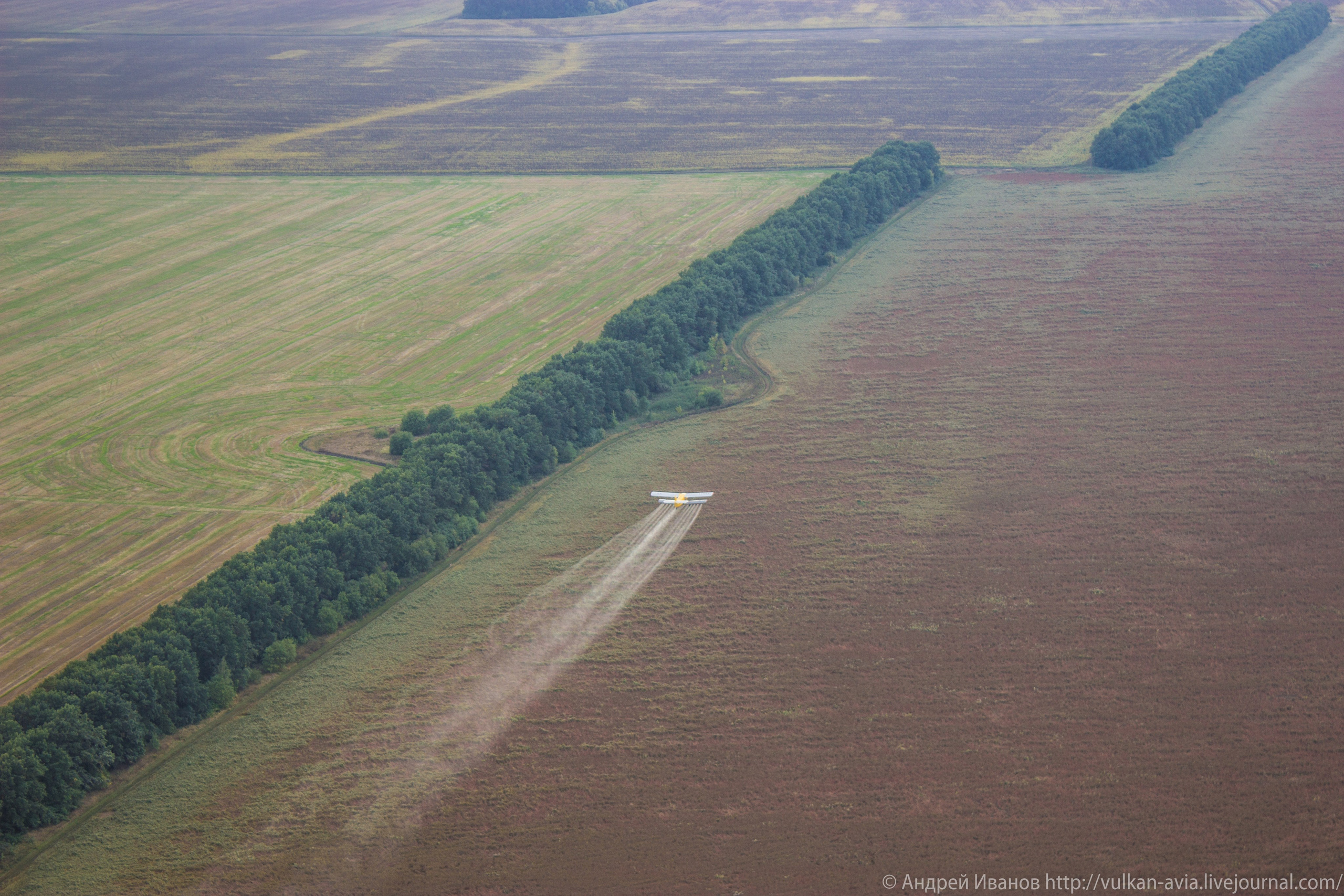 Волгодонск аэр. Потапов слёт «Небо для всех» (2021 г.). Фотоальбом показывающий увлекательный мир авиации и мир медведей Андрея Иванова