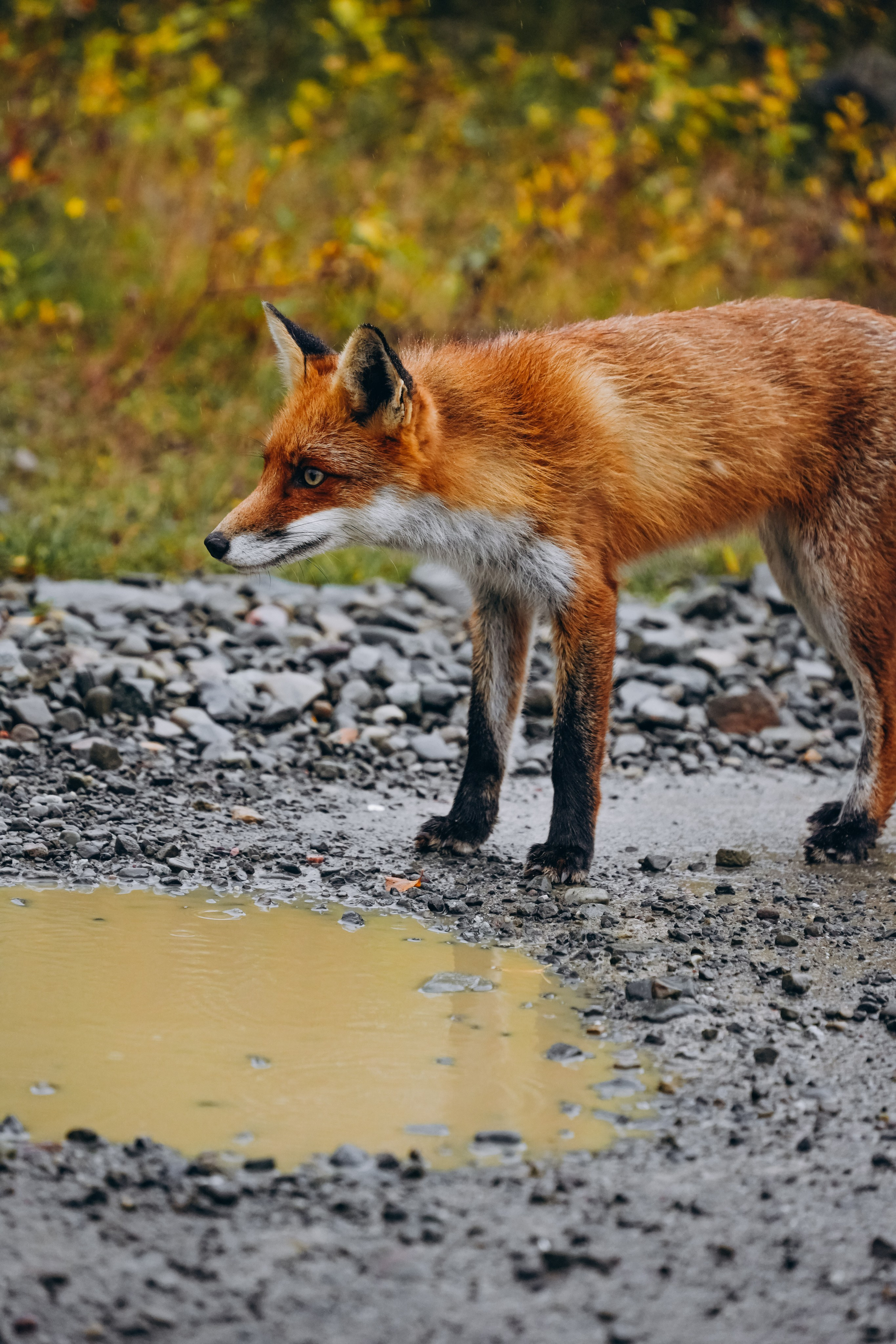 СЕВЕР. Event фотограф Степанова Александра