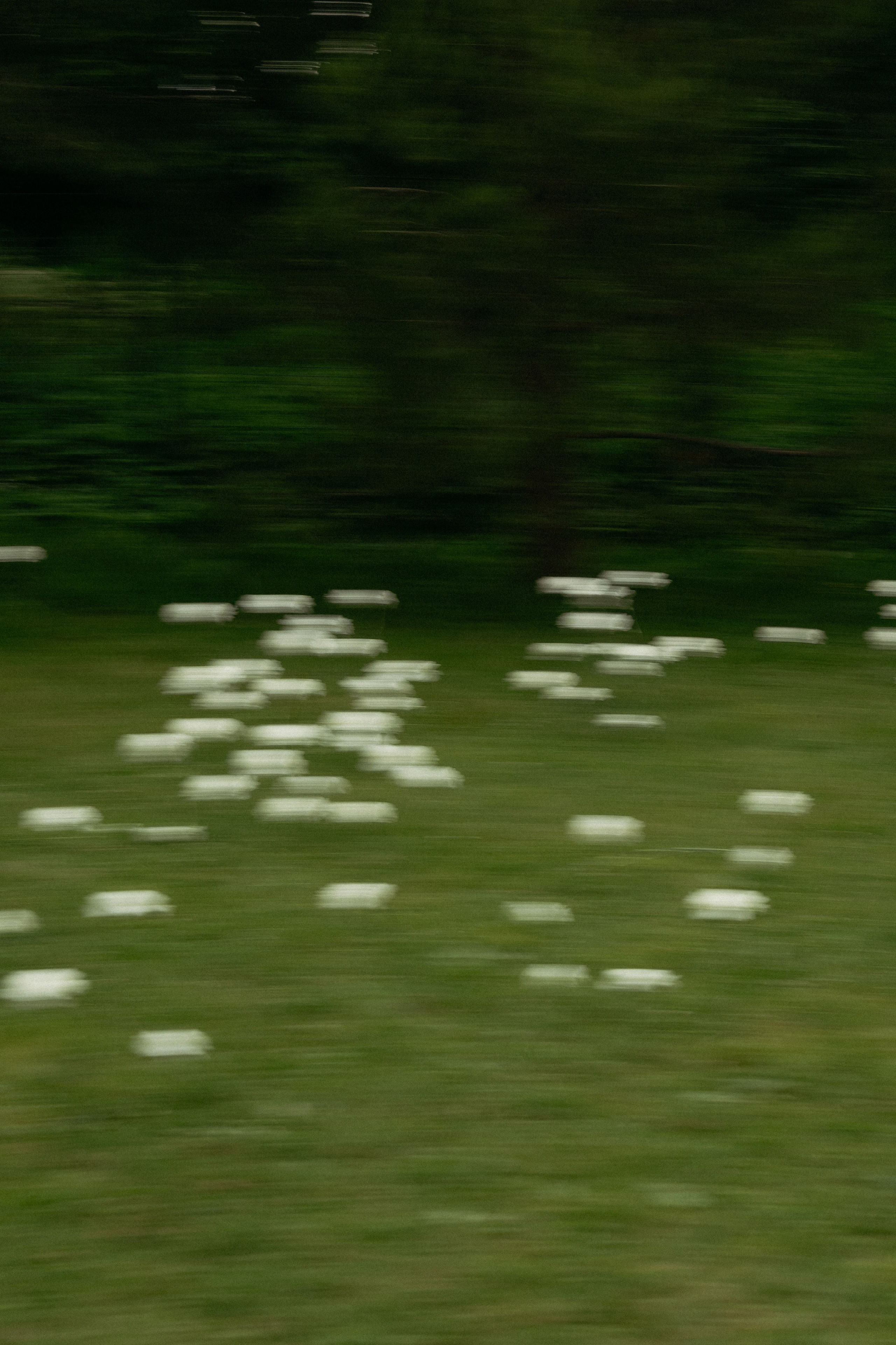 Все закончится, а мы нет. Свадебный фотограф в Петербурге Таша Вайб