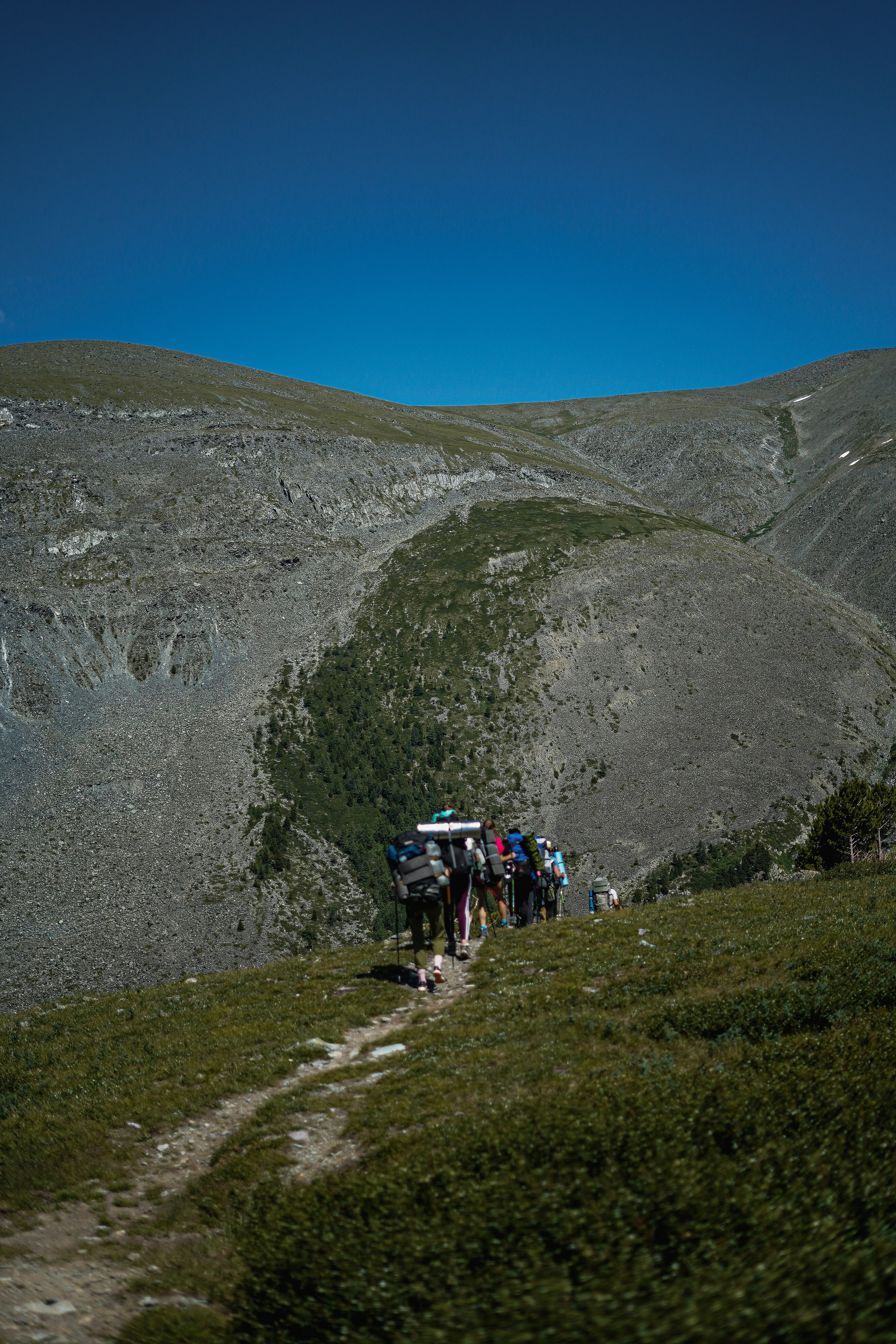 Алтай, поход к Белухе 2023. Фотограф Ольга Пучкова