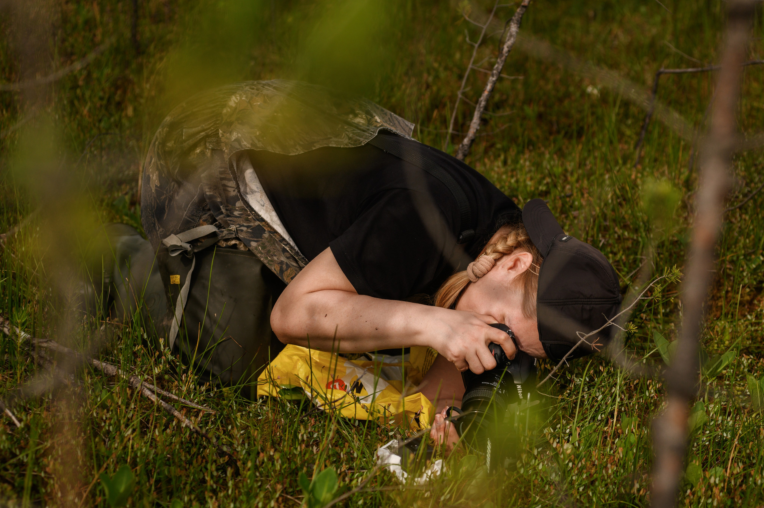 Фотопленэр на болоте. Фотообъединение Самарского областного отделения Союза журналистов России