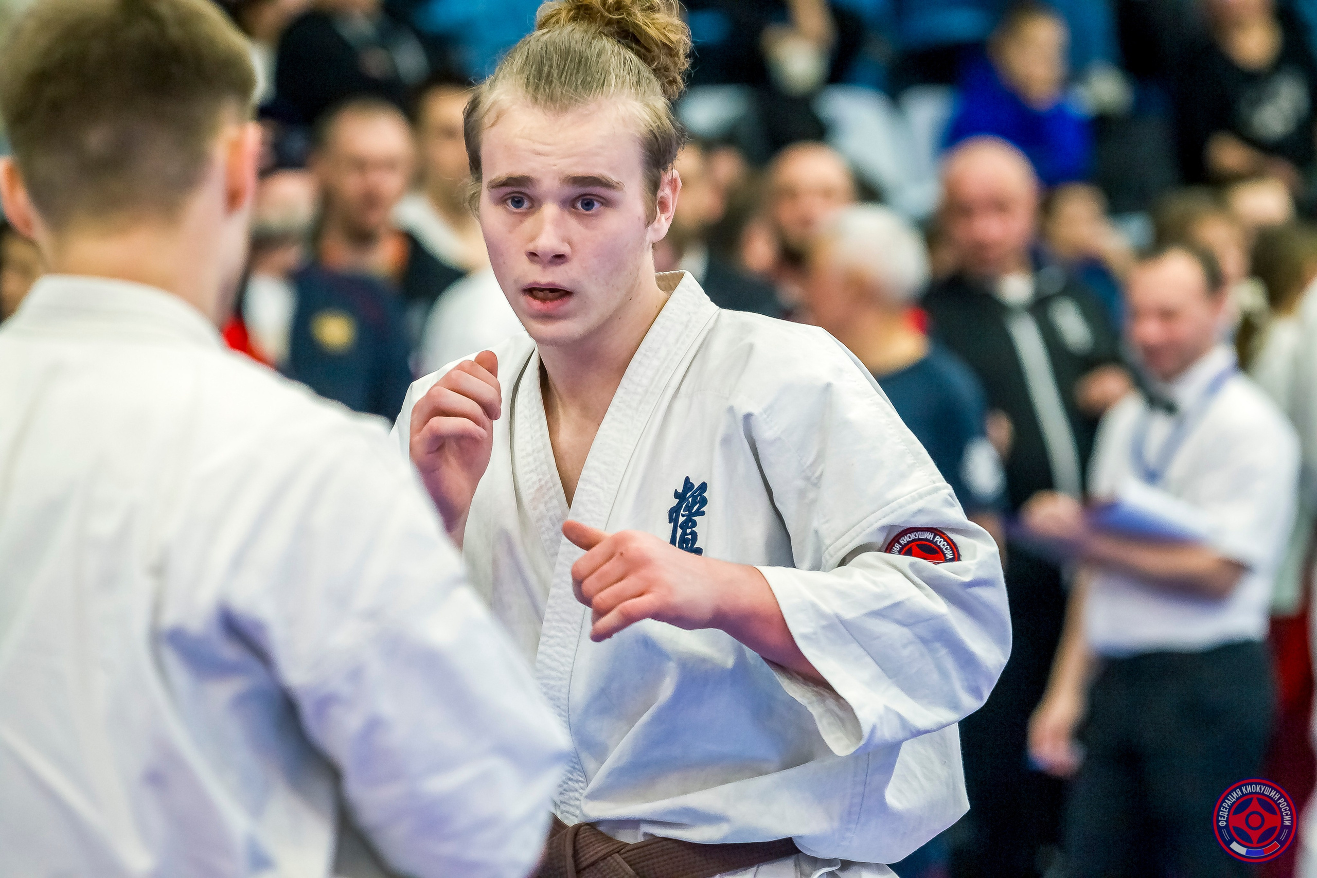 Международный турнир по киокушин «Открытый кубок Seiken». Репортажная съемка в Москве и области. Анималистика