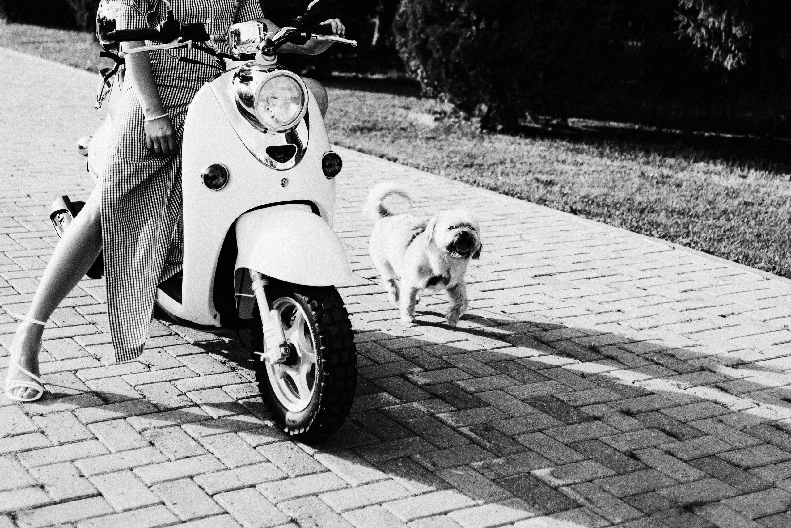 Евгения. Фотограф Дарья Мустафина, Тюмень