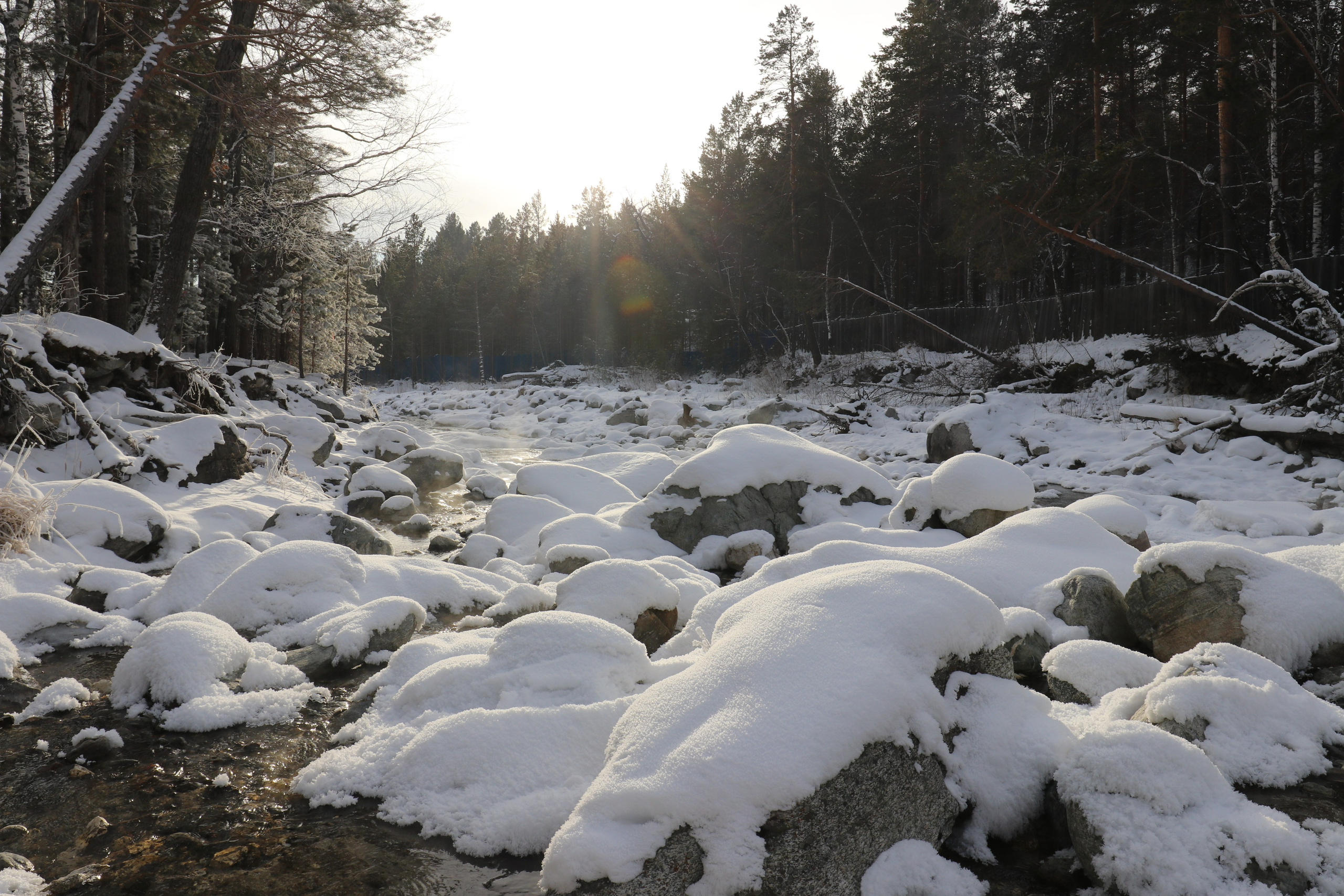 Аршан. Январь 2022. Путешественник-фотограф из Санкт-Петербурга Татьяна Свистулина