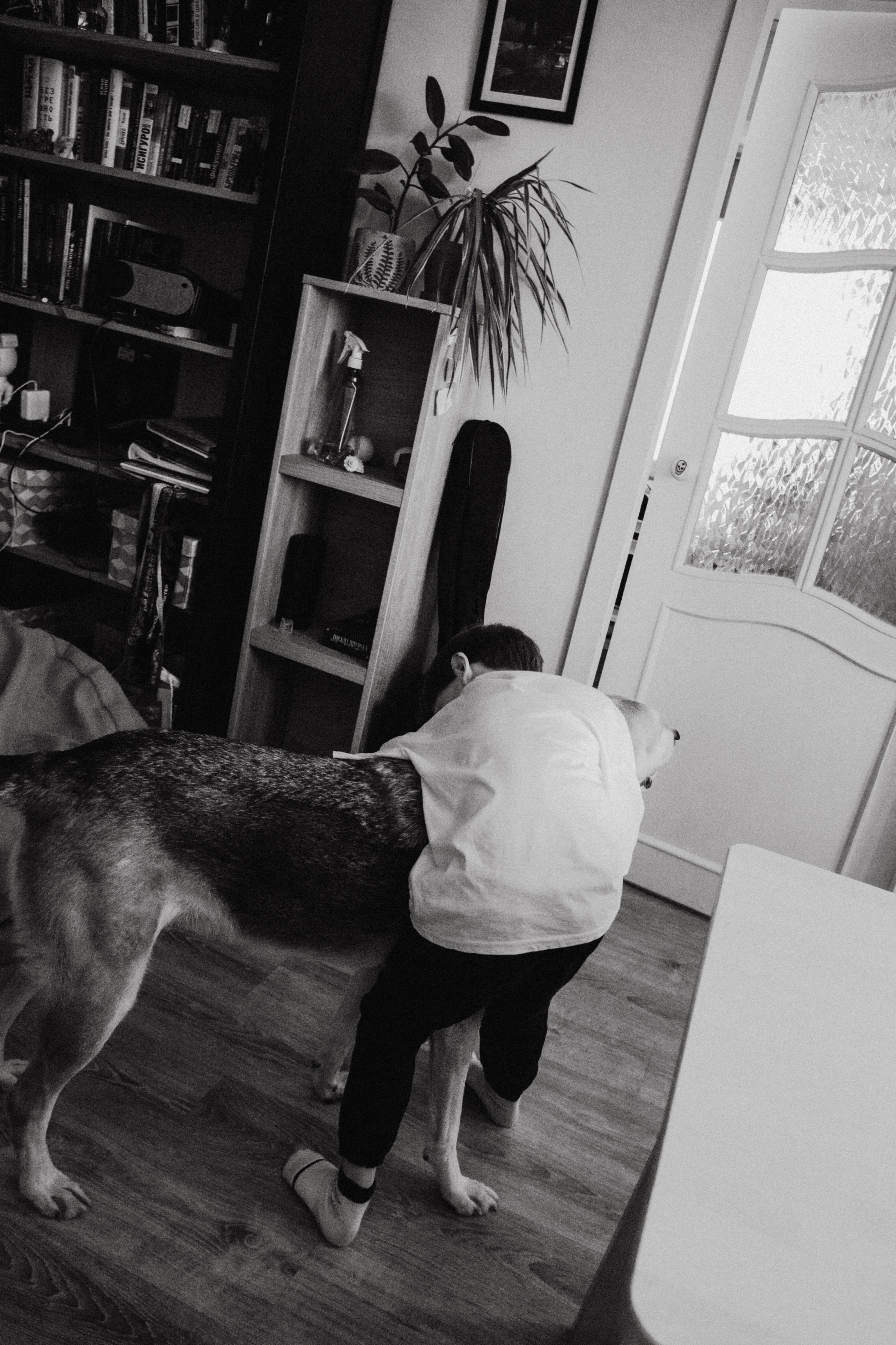 Миша. Матвей. Эмми. Фотограф в Нижнем Новгороде