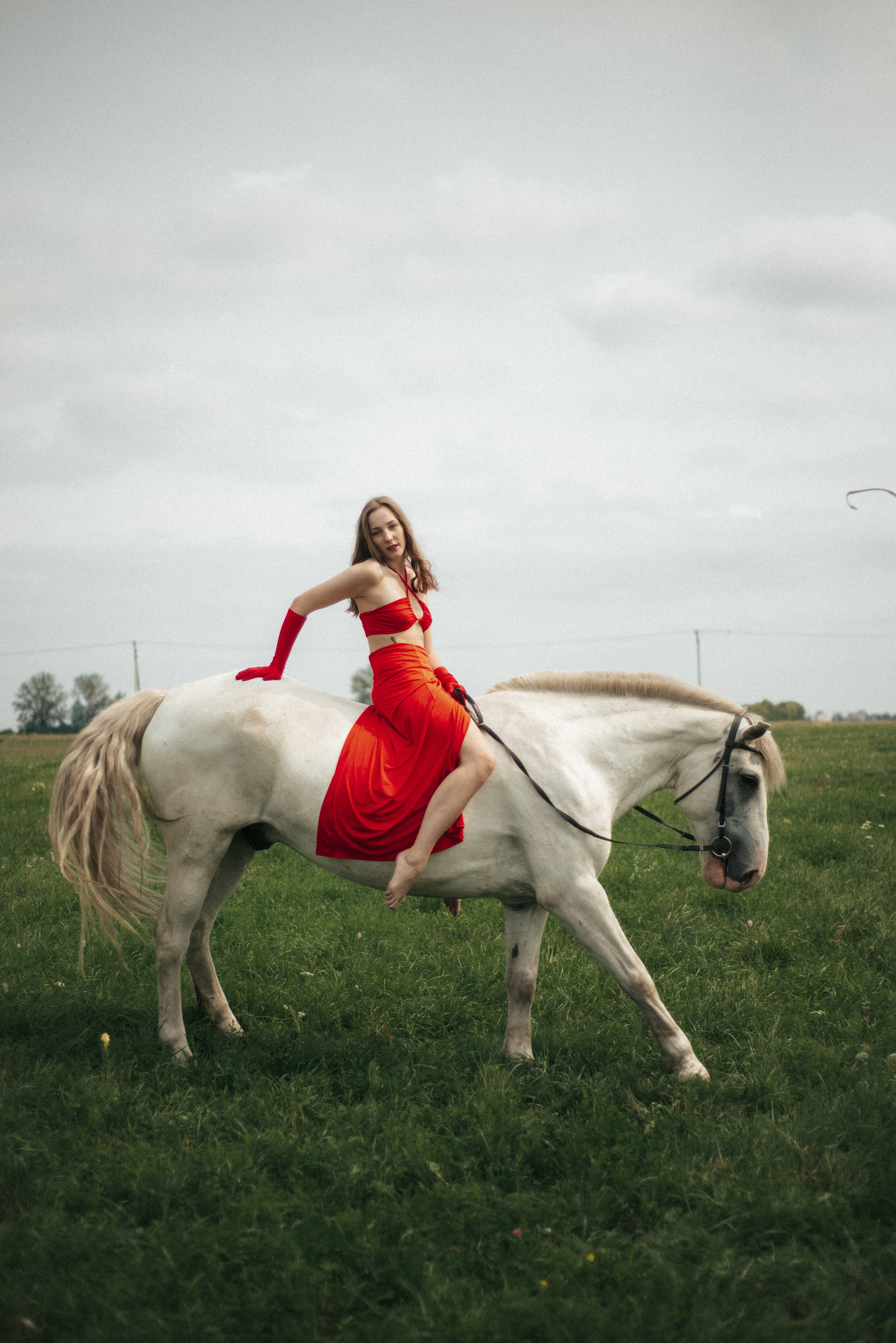 Horse. Фотограф