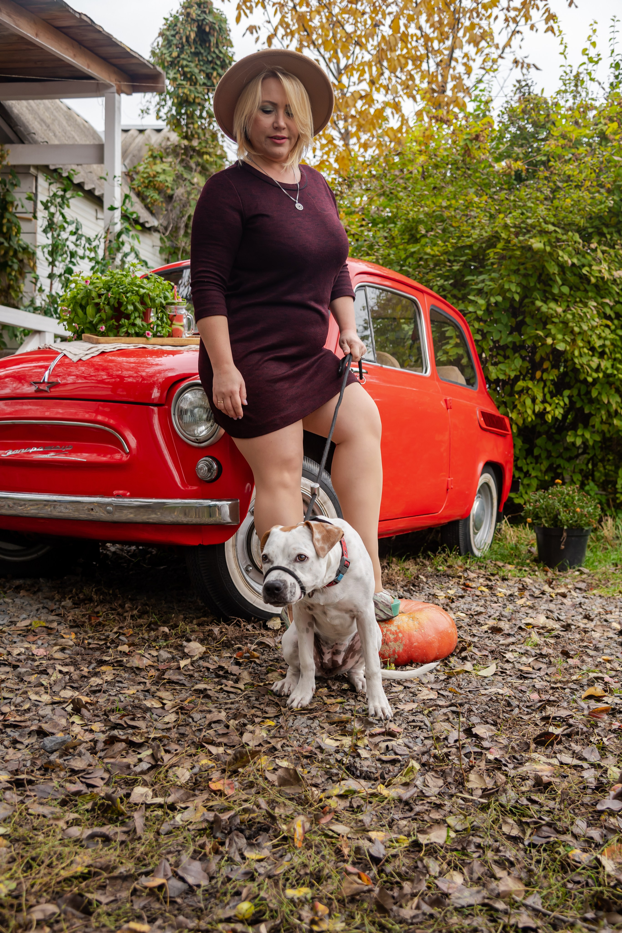 Авакадо. Фотограф Галина Нестерова