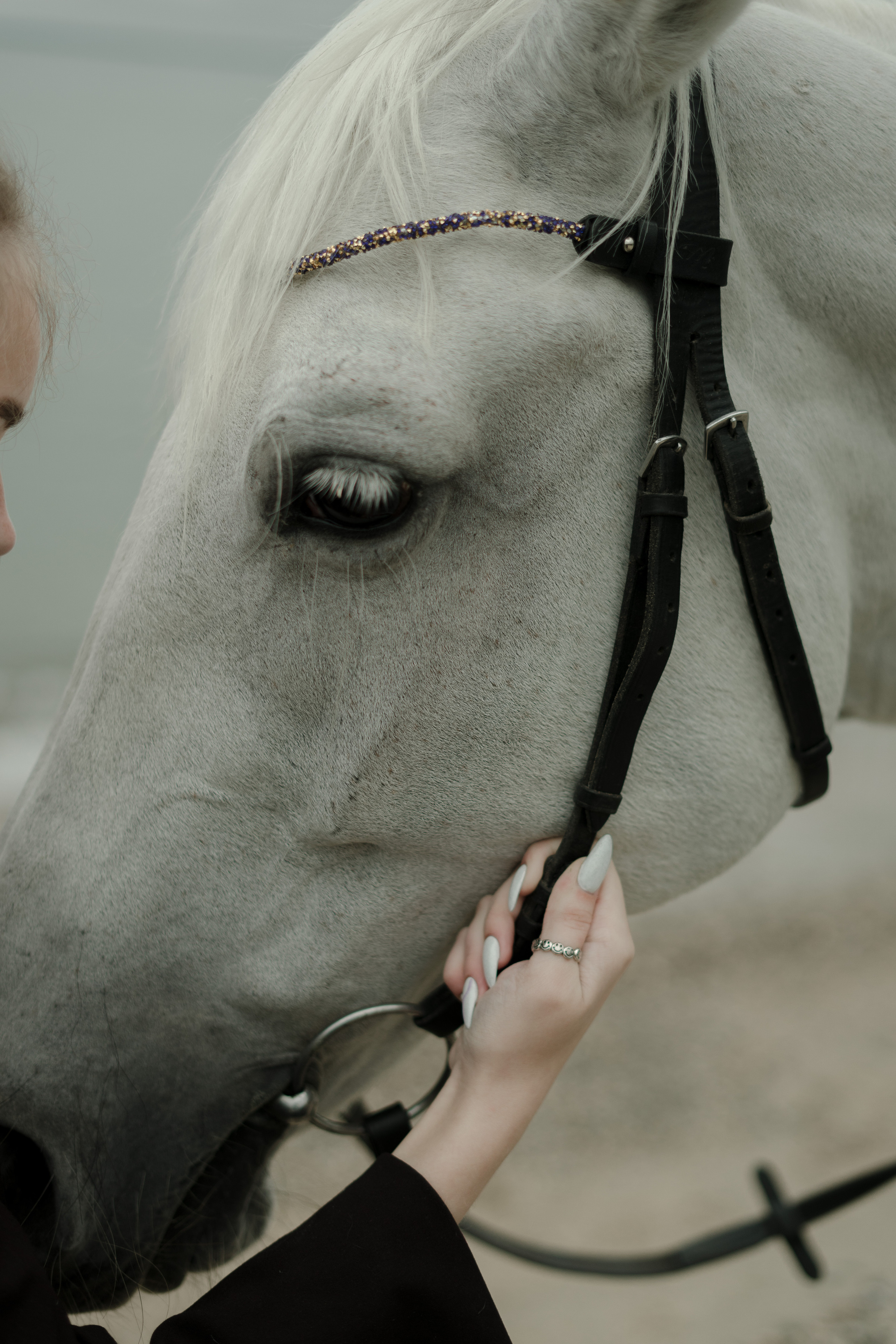 Навстречу ветру. Фотограф Томск Новосибирск Елизавета Вахтеева