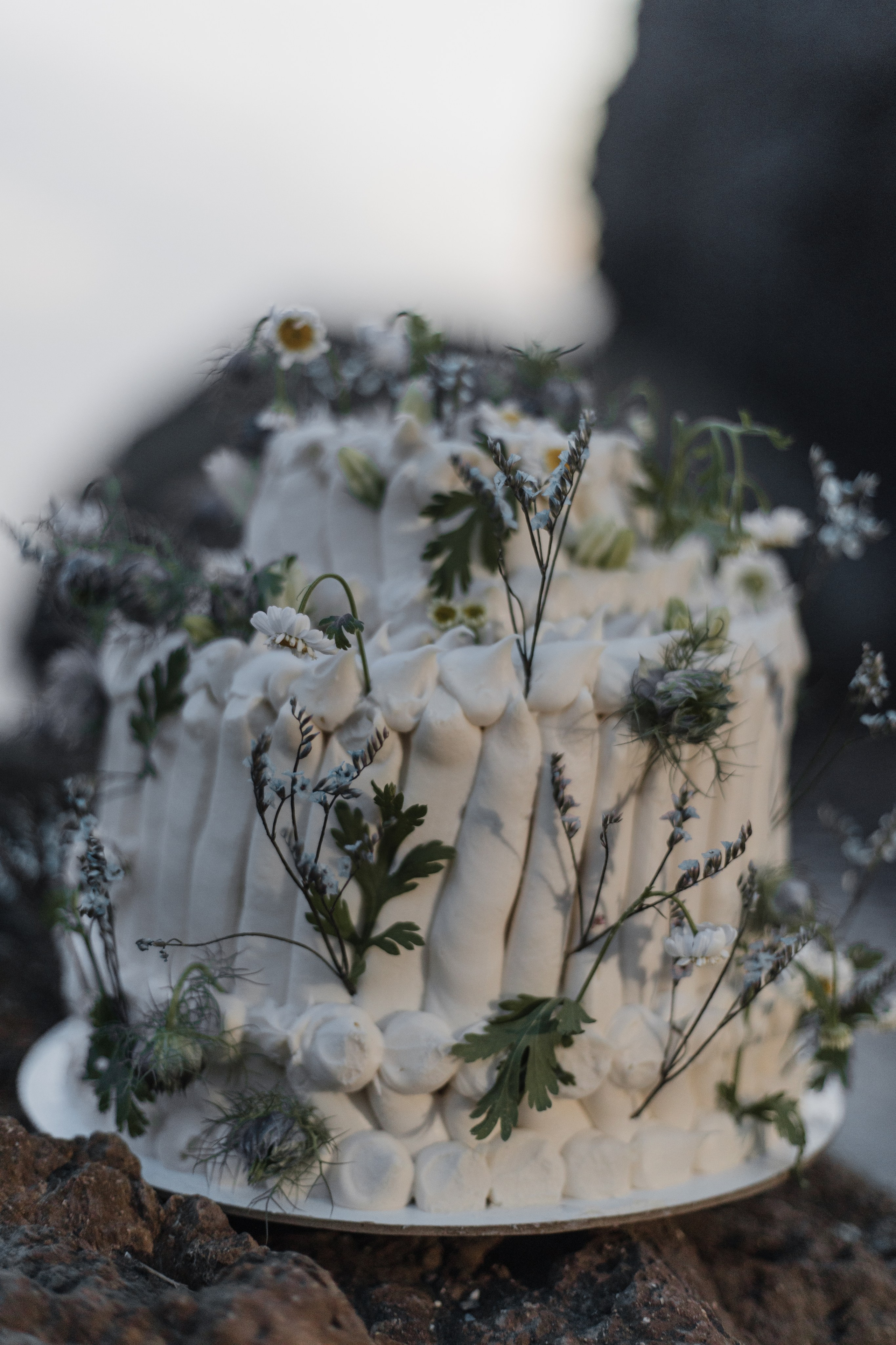 Владимир и Серафима. Свадебный фотограф в Симферополе (Крым) Валерия Воловидник