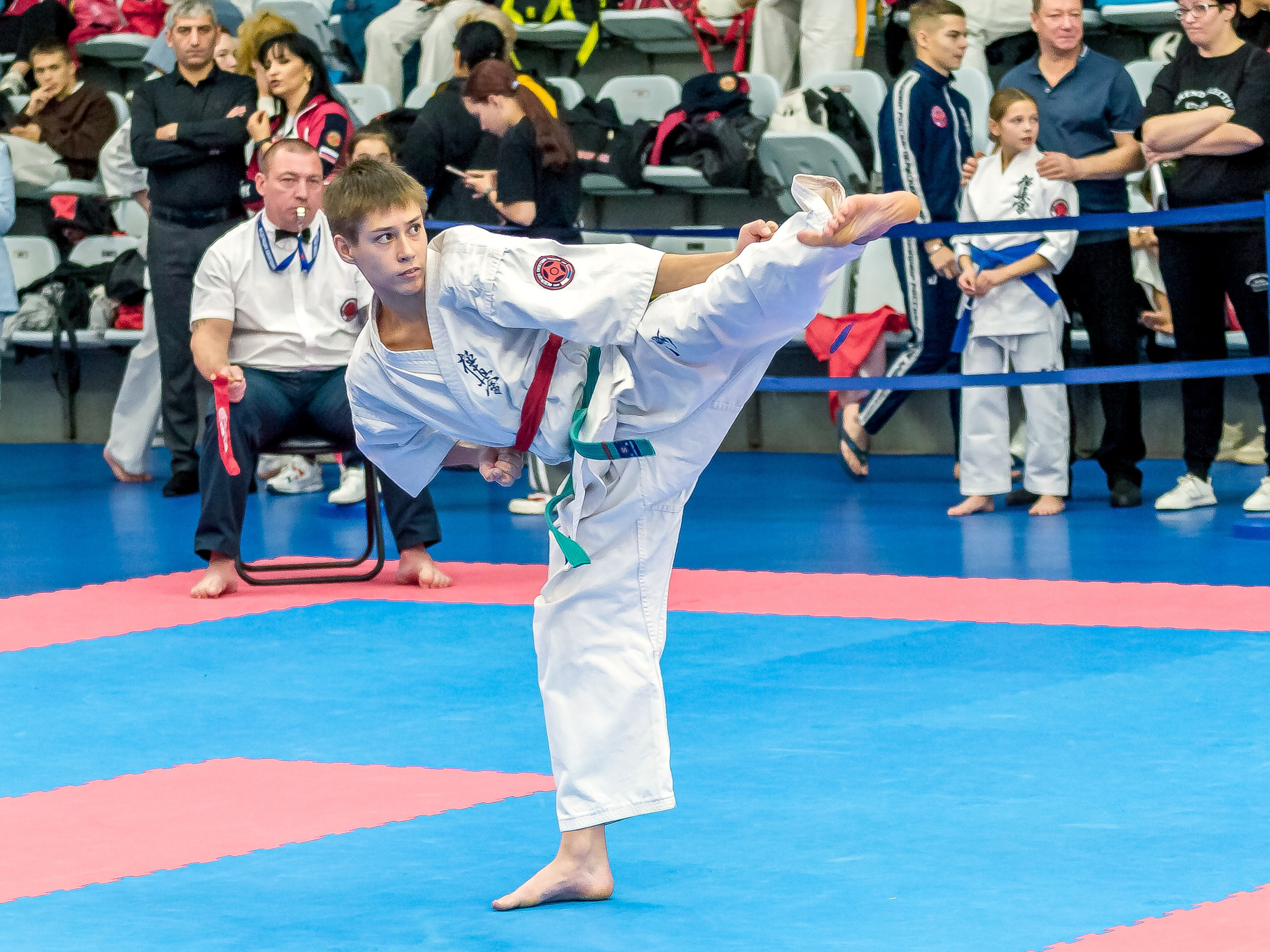 Соревнования по Киокушин памяти С. Увицкого. Репортажная съемка в Москве и области. Анималистика