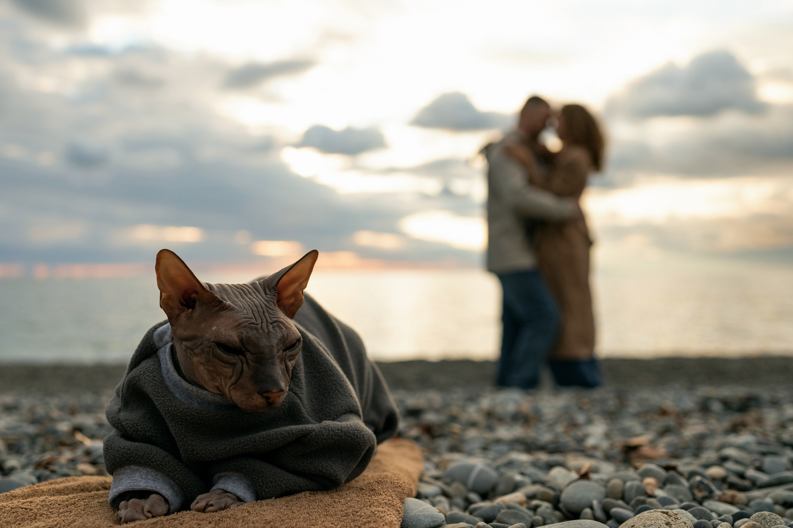 Пётр, Мария и кот Рич. Портретный фотограф и Love story в Сочи