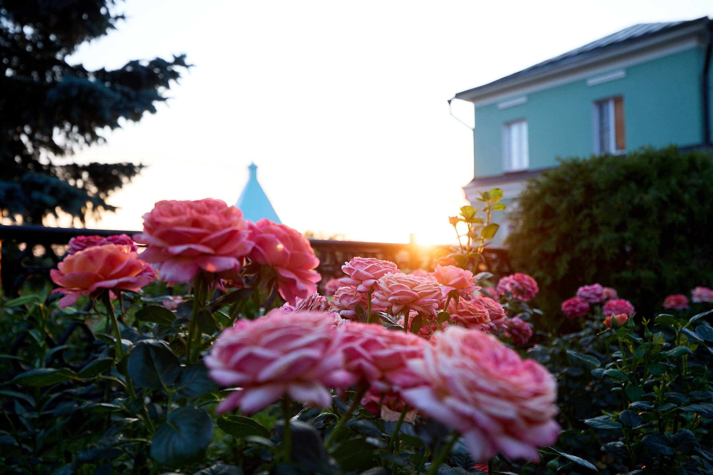 Культура. Егор Тутубалин