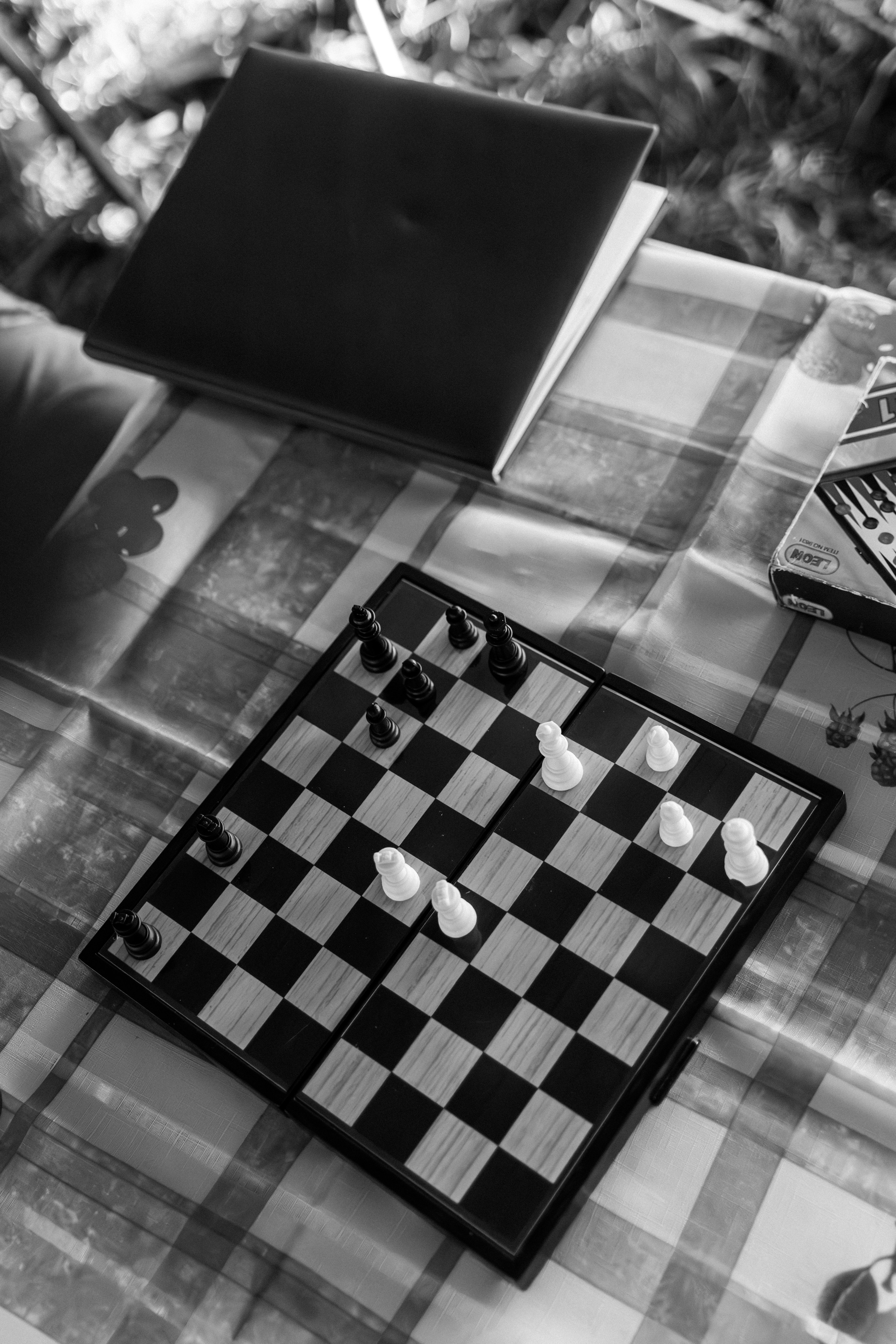 Палаточный форум для взрослых CAMPot 2024. Фотограф Надежда Погребняк | Рязань | Москва