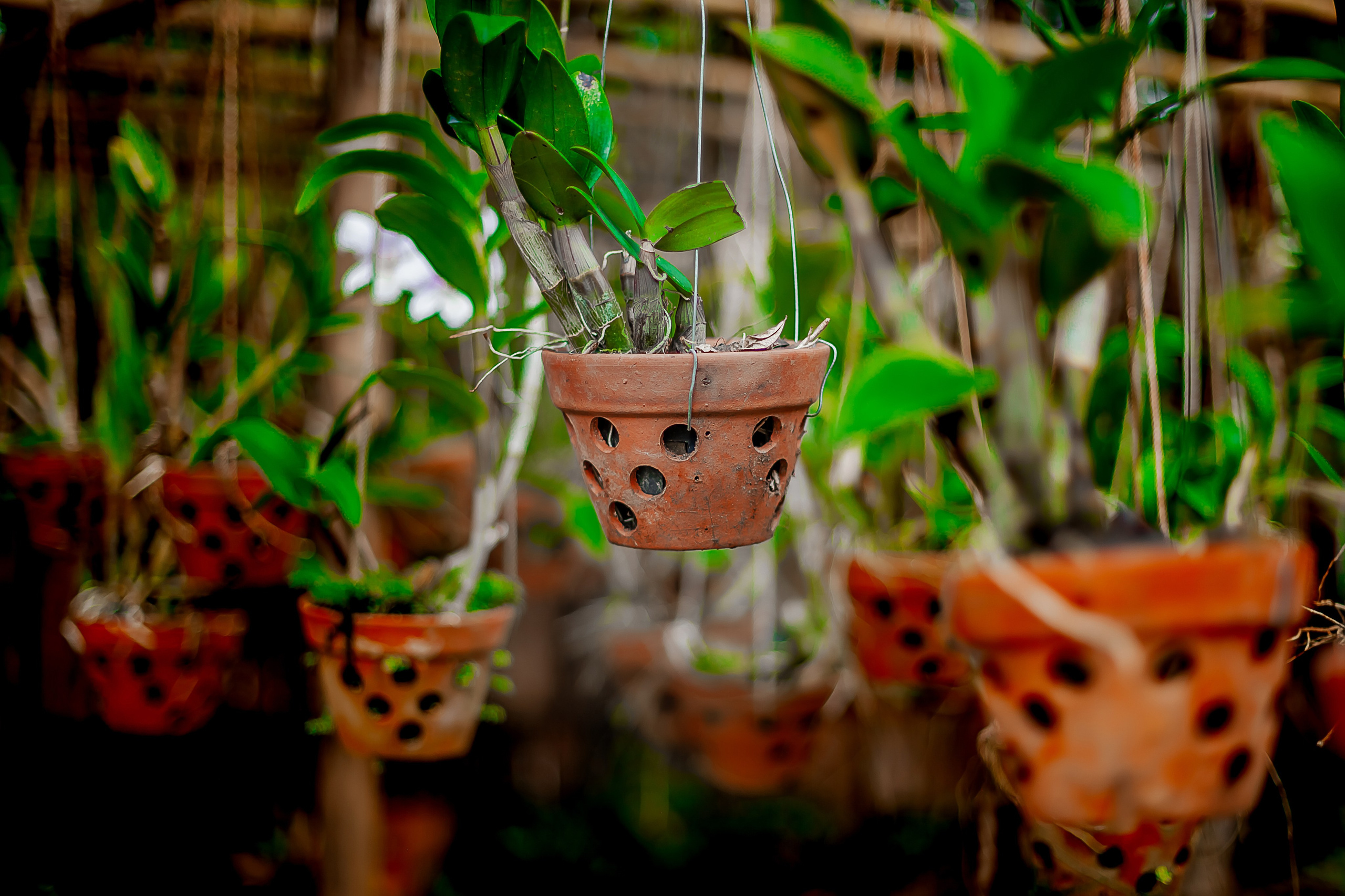 Репортажный фотограф Ялта. Репортажный фотограф Ялта