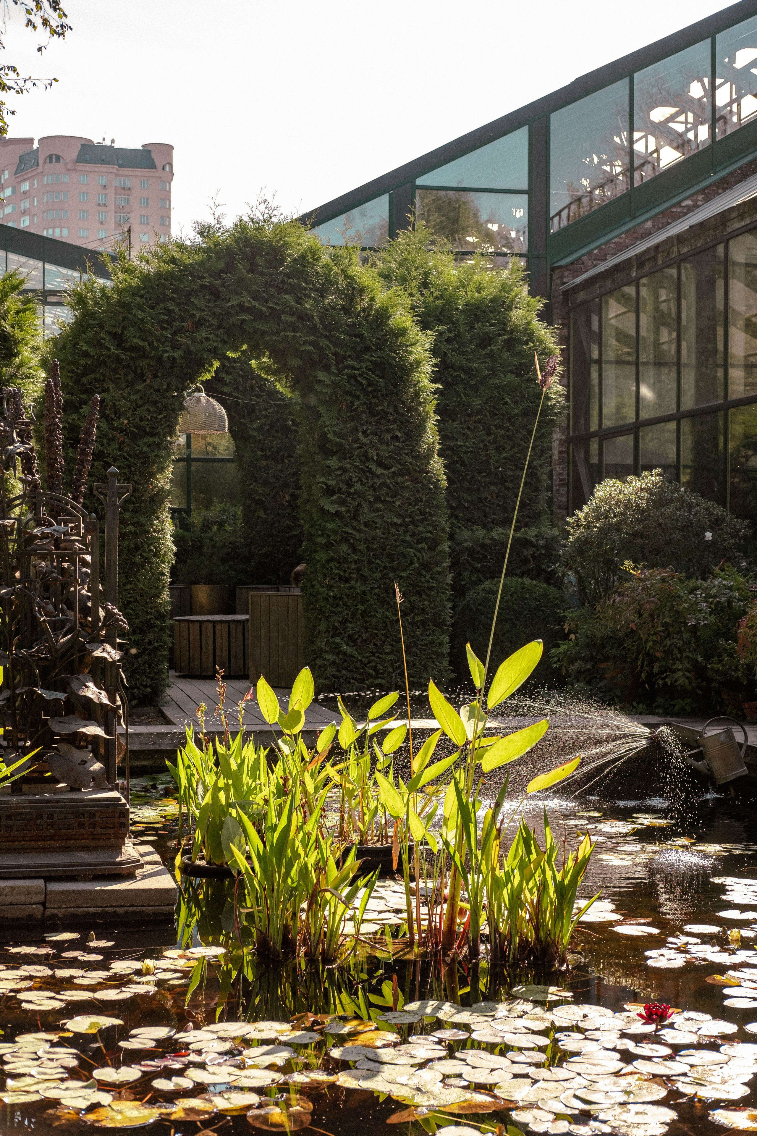 Москва 2024. Свадебный и семейный фотограф в Новосибирске, Санкт-Петербурге, Москве