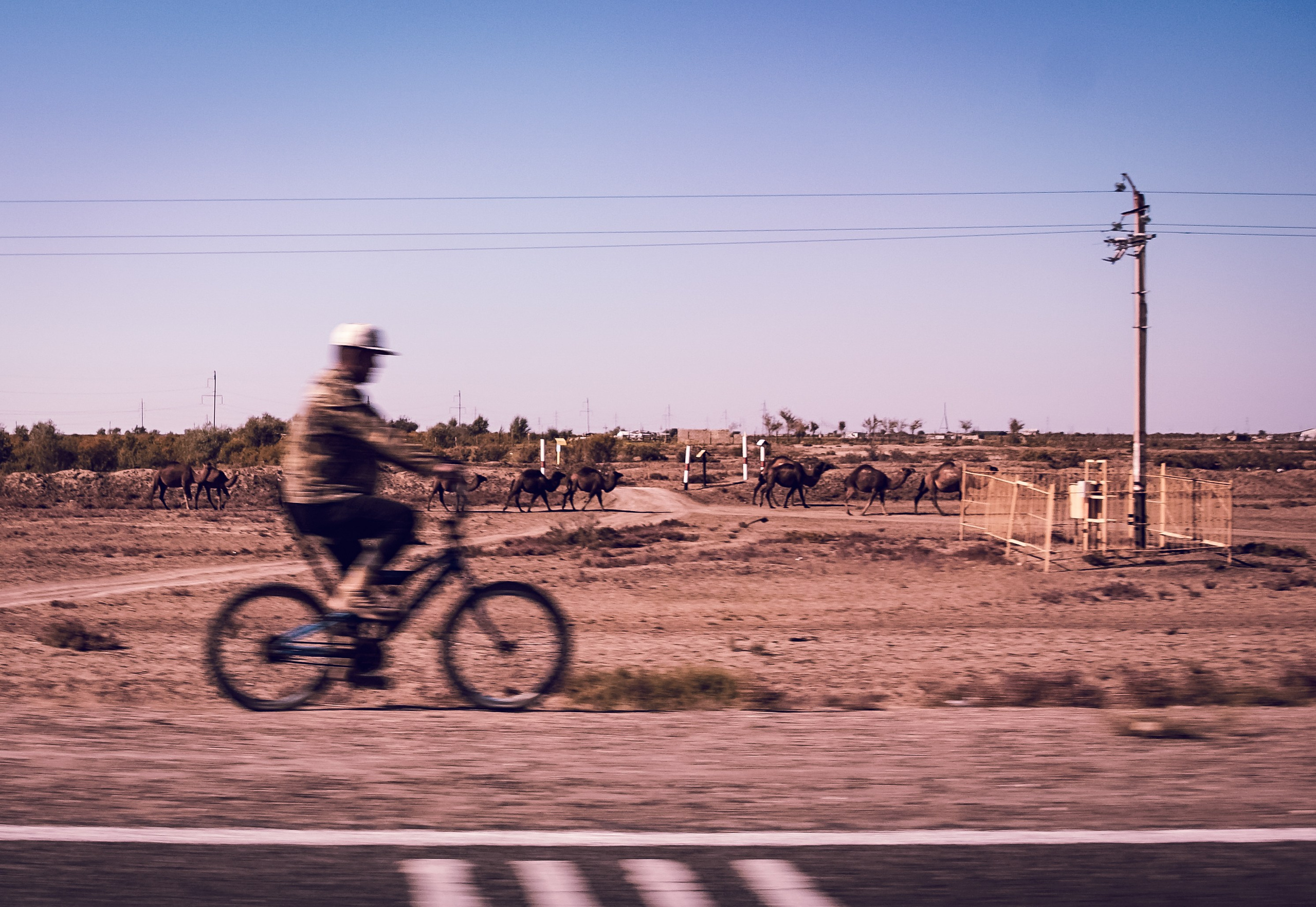СТРИТ / ТРЕВЕЛ. Семейный и travel-фотограф из Израиля