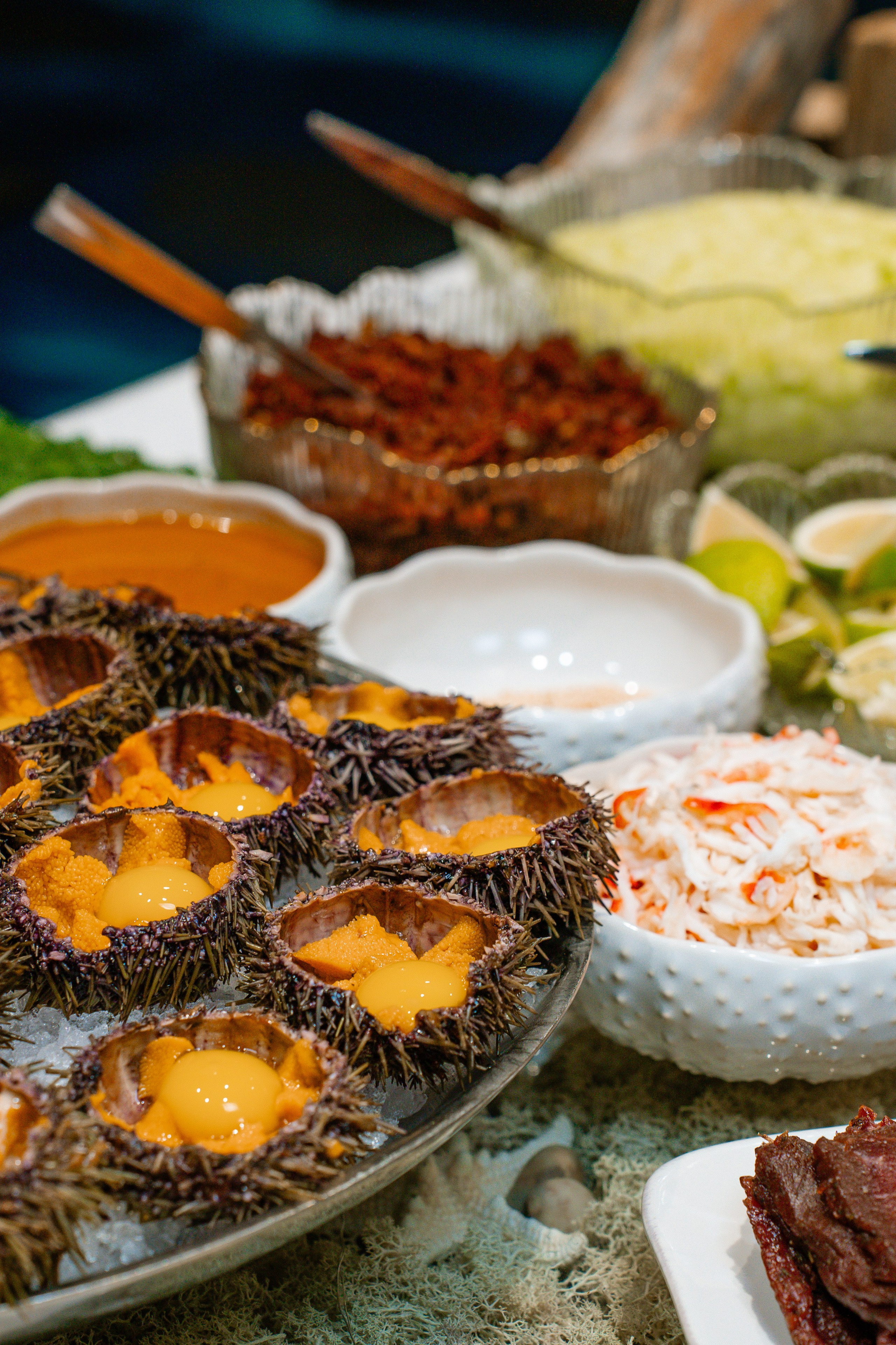 Гастротур. Туманов Кирилл Фото, видео и аэросъемка в Мурманской области