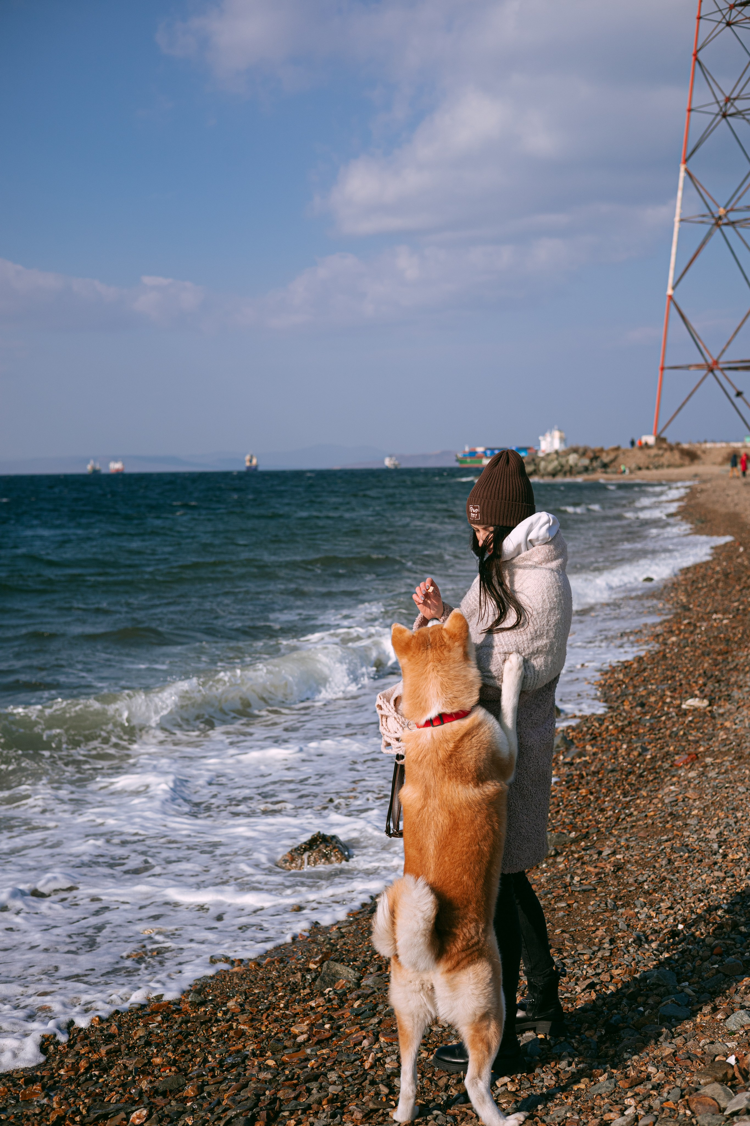 Мария и Бейла. Фотограф — анималист Владивосток, Алина